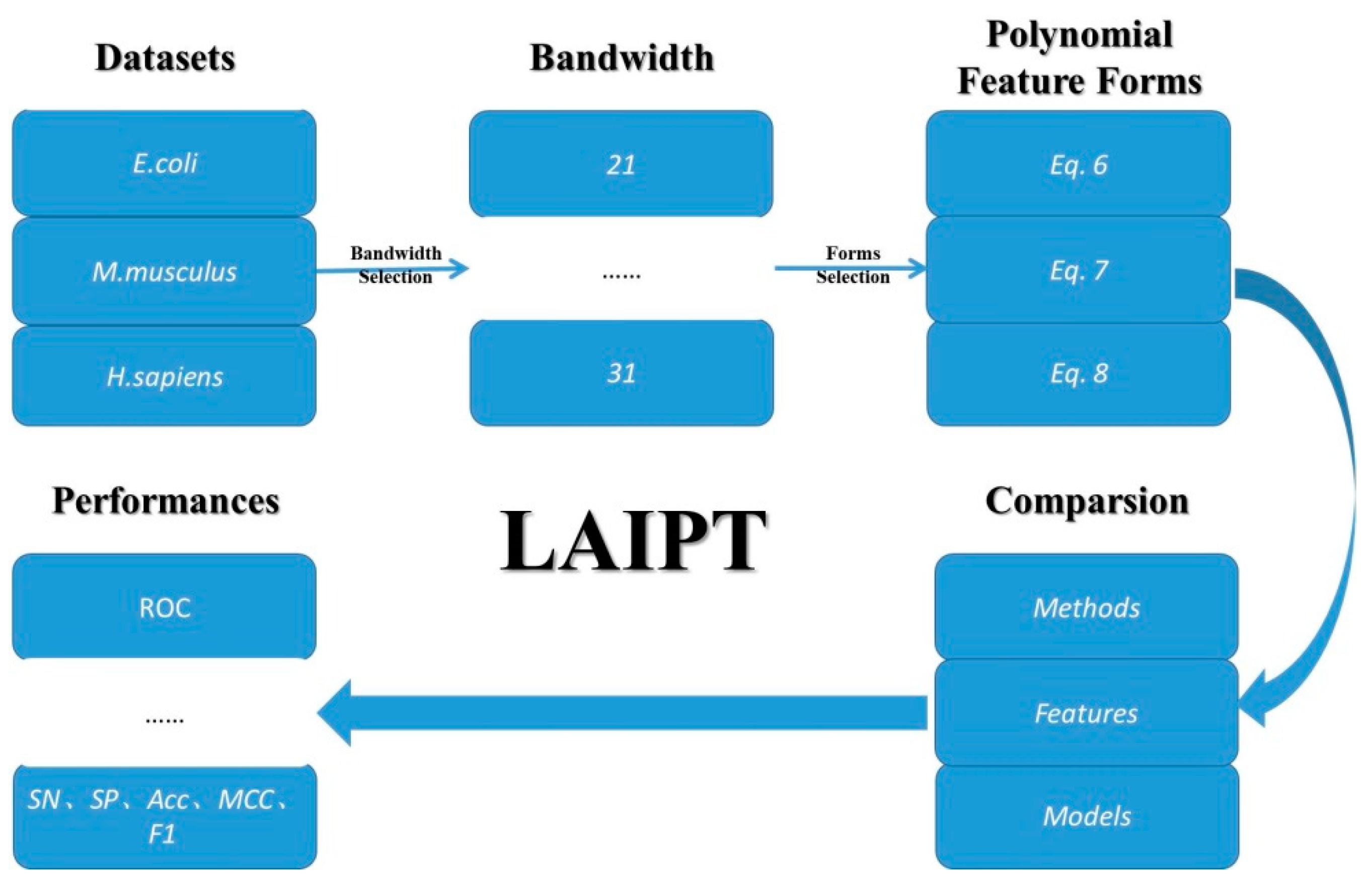 Ijms 20 00113 g006 Ijms 20 00113 g006