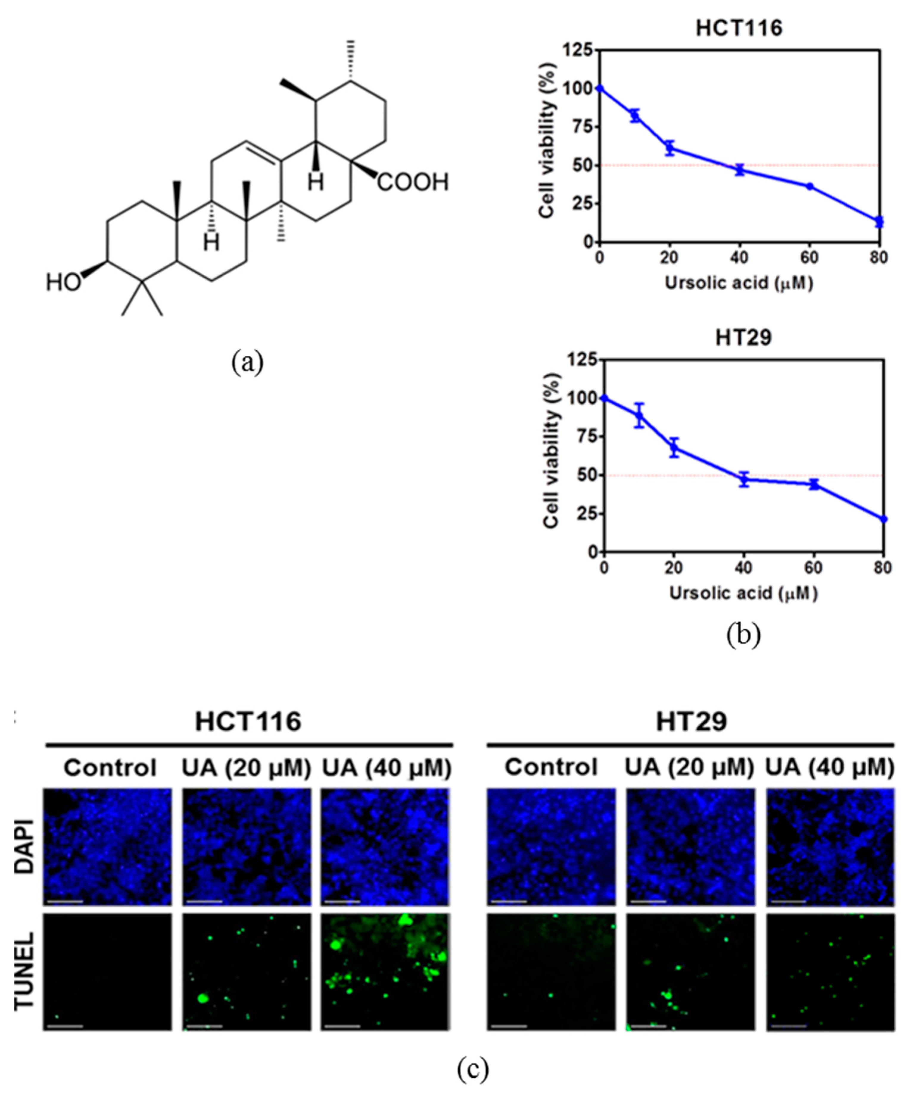 Ijms 20 00114 g001 Ijms 20 00114 g001