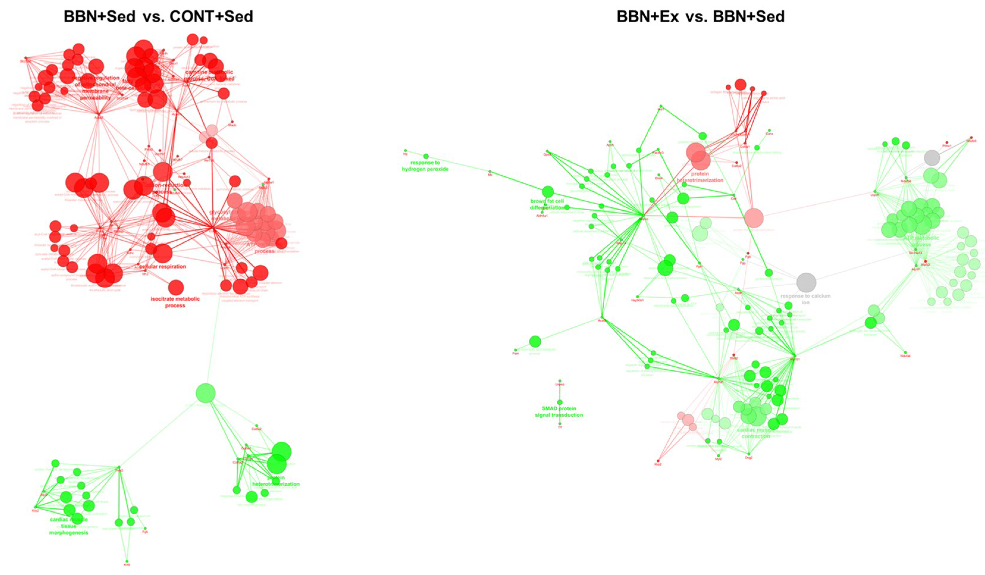 Ijms 20 00127 g006 Ijms 20 00127 g006