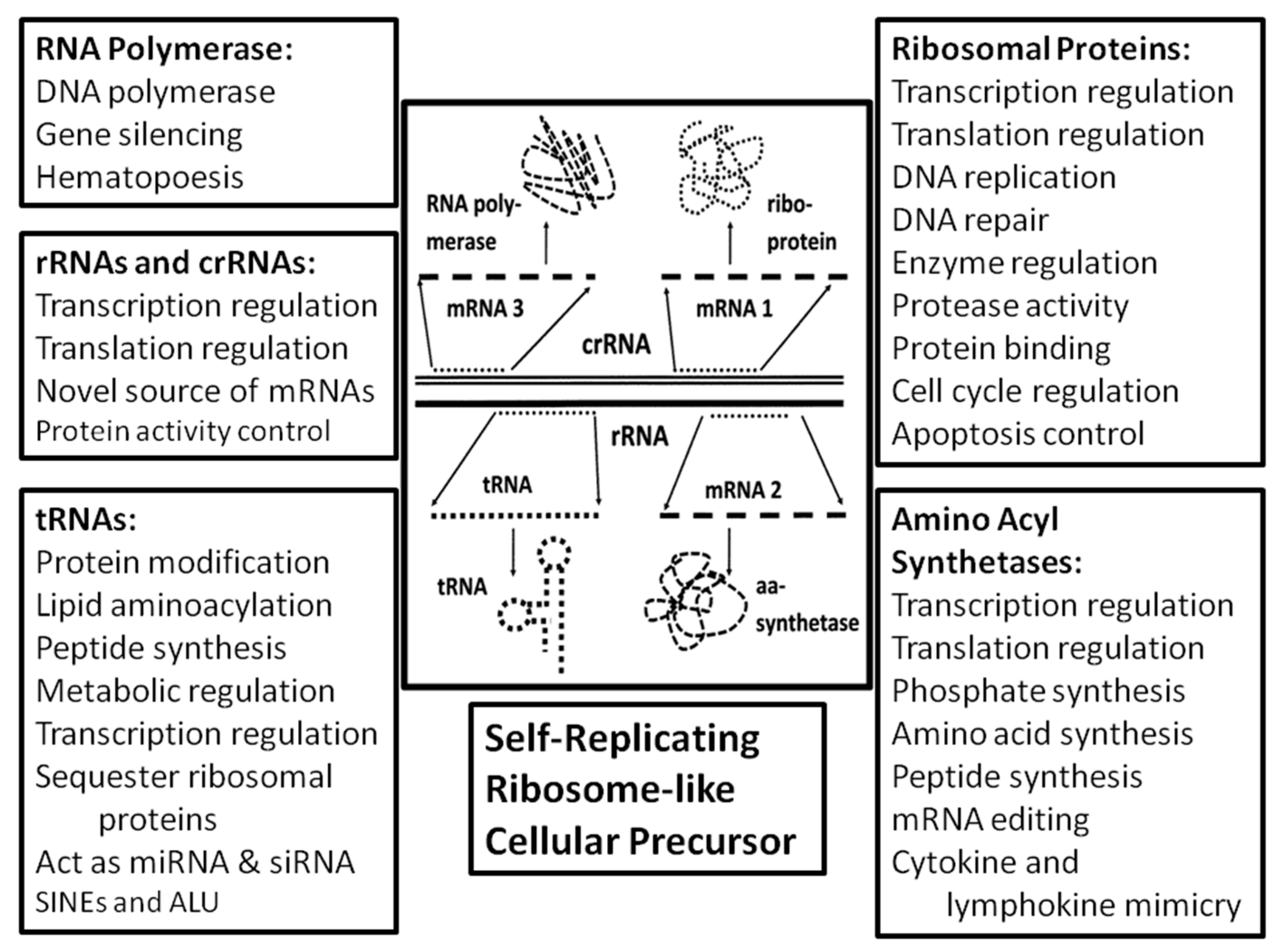 Ijms 20 00140 g006 Ijms 20 00140 g006