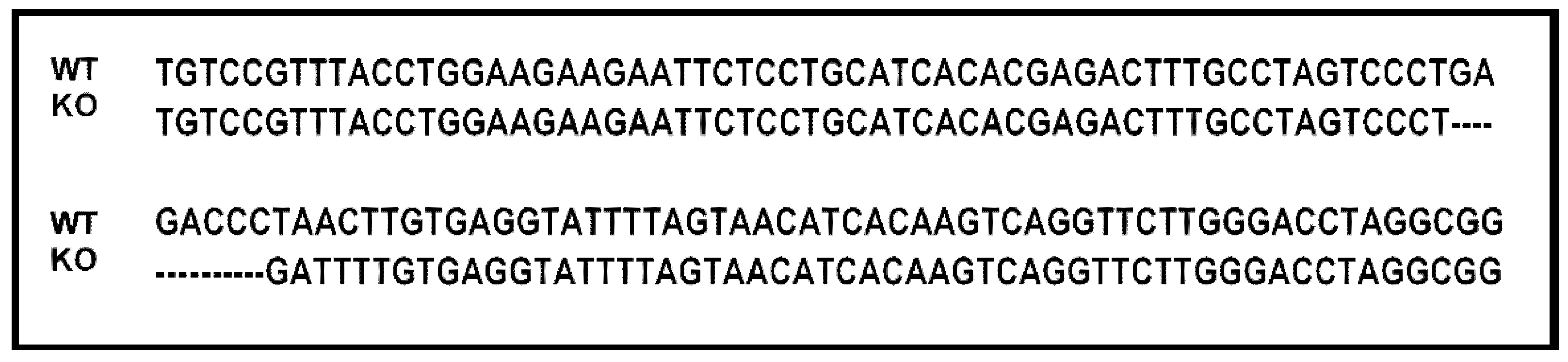 Ijms 20 00148 g001