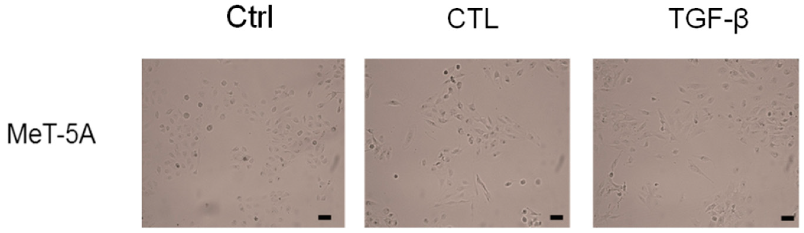 Ijms 20 00150 g001 Ijms 20 00150 g001