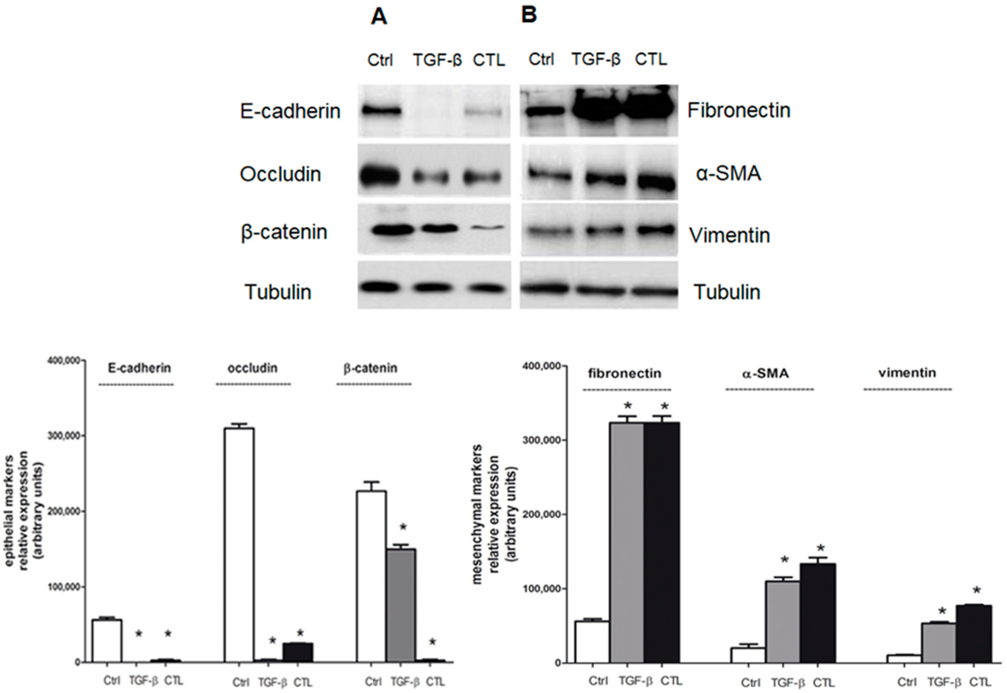 Ijms 20 00150 g002 Ijms 20 00150 g002
