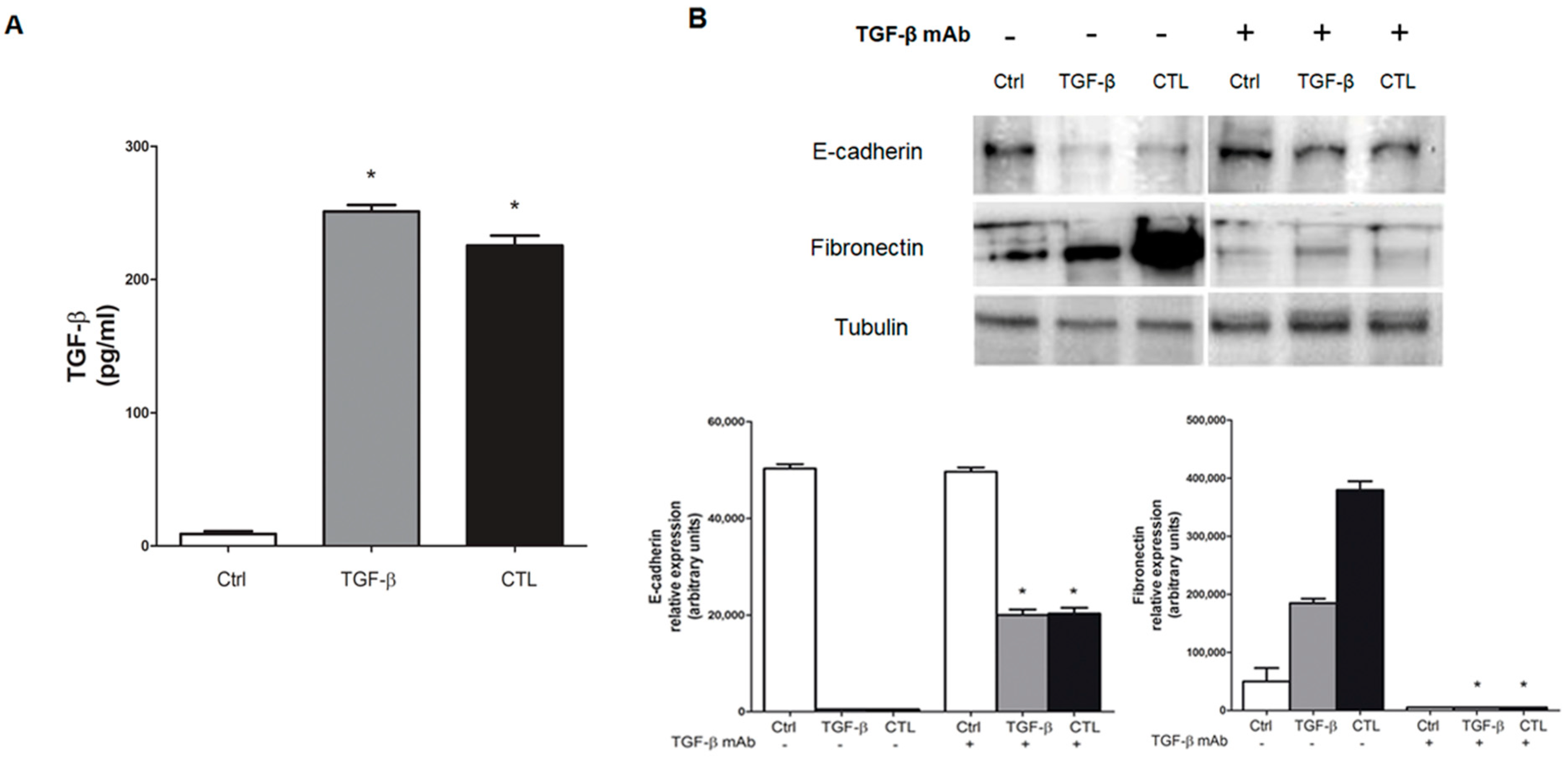 Ijms 20 00150 g005 Ijms 20 00150 g005