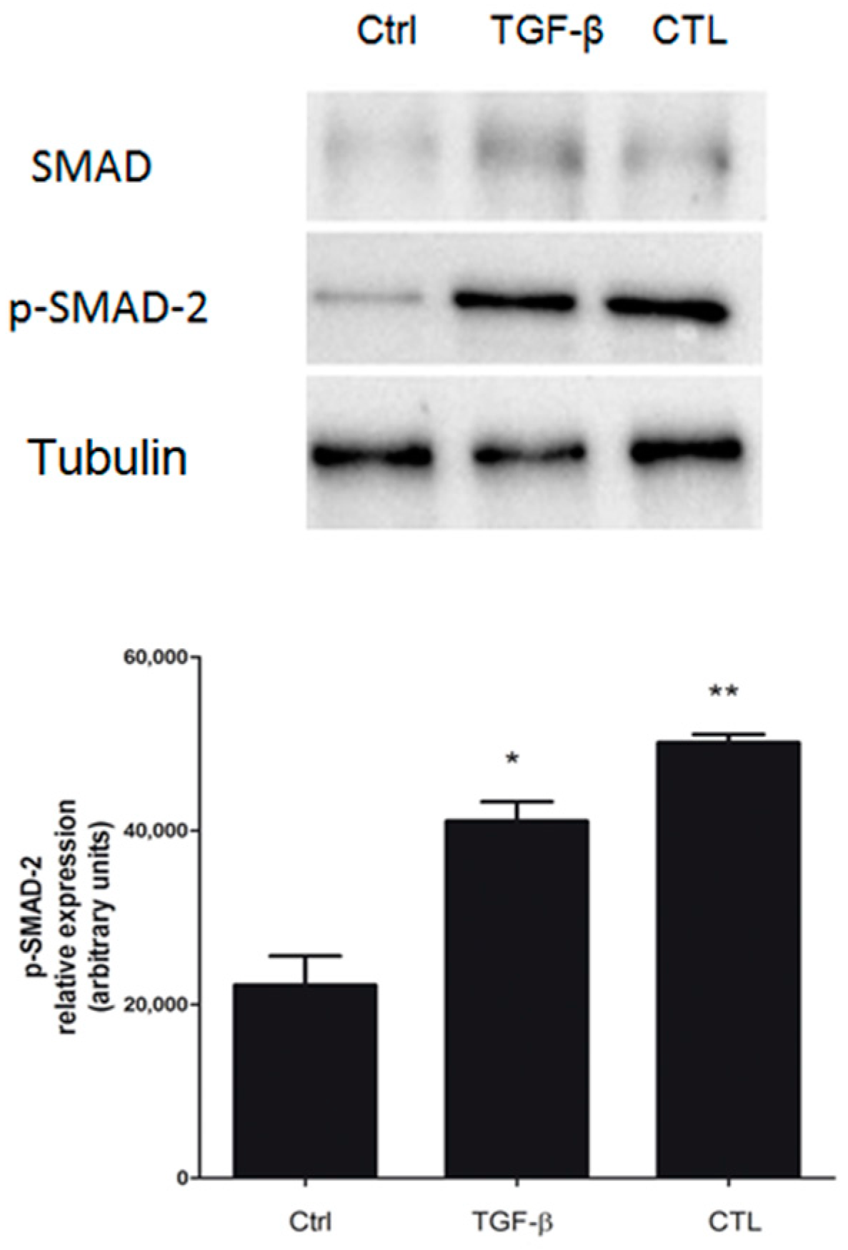 Ijms 20 00150 g006 Ijms 20 00150 g006