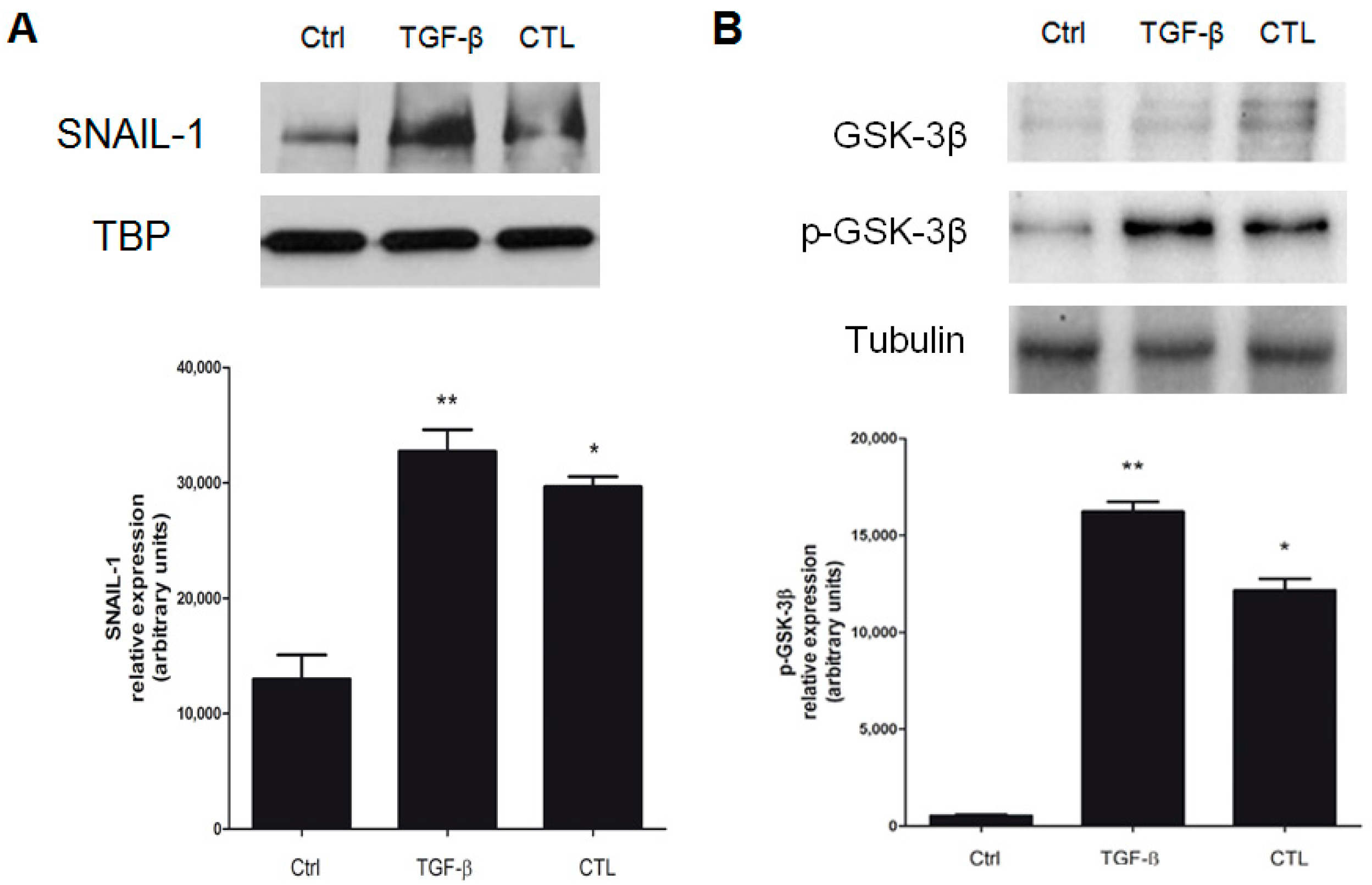 Ijms 20 00150 g007 Ijms 20 00150 g007