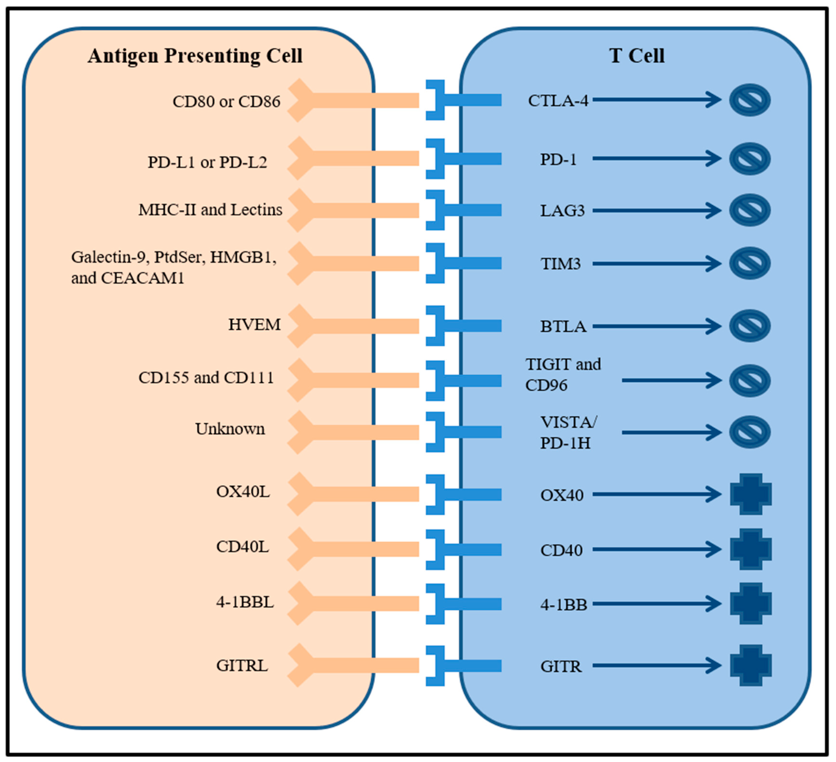 Ijms 20 00158 g001 Ijms 20 00158 g001