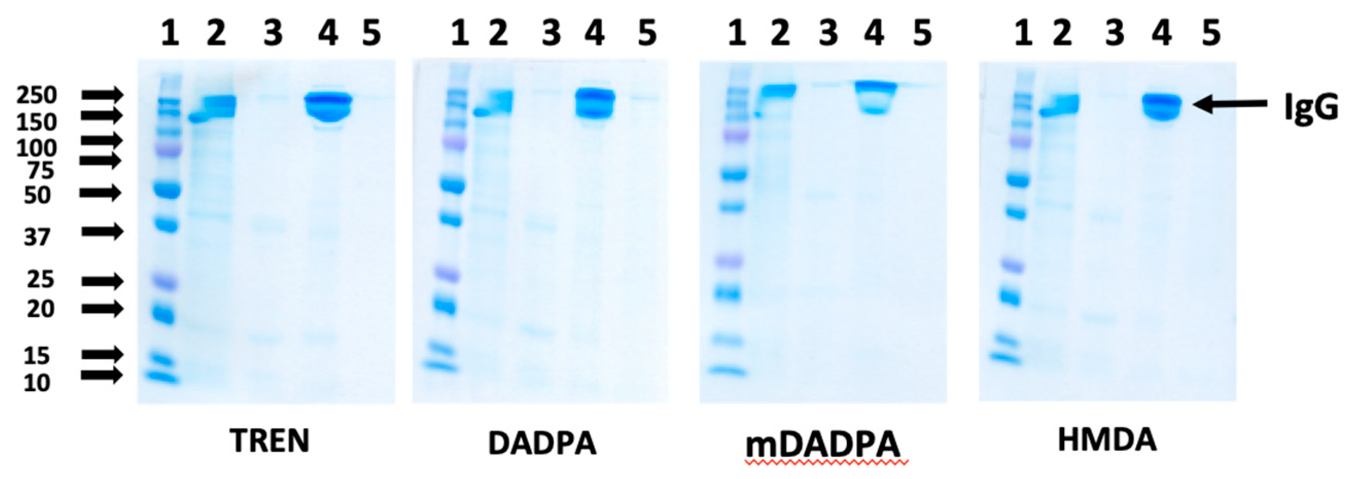 Ijms 20 00161 g004