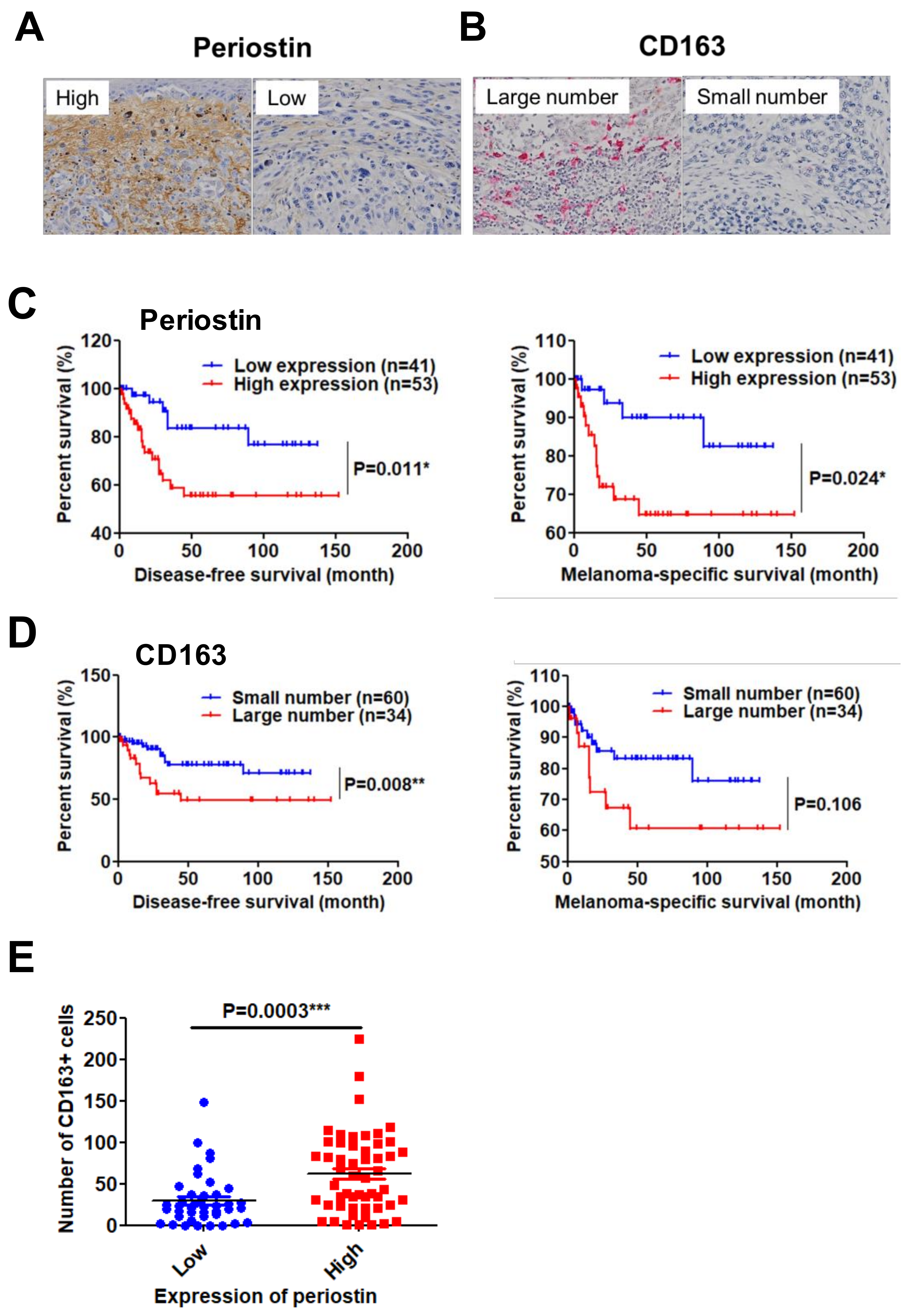 Ijms 20 00169 g004 Ijms 20 00169 g004