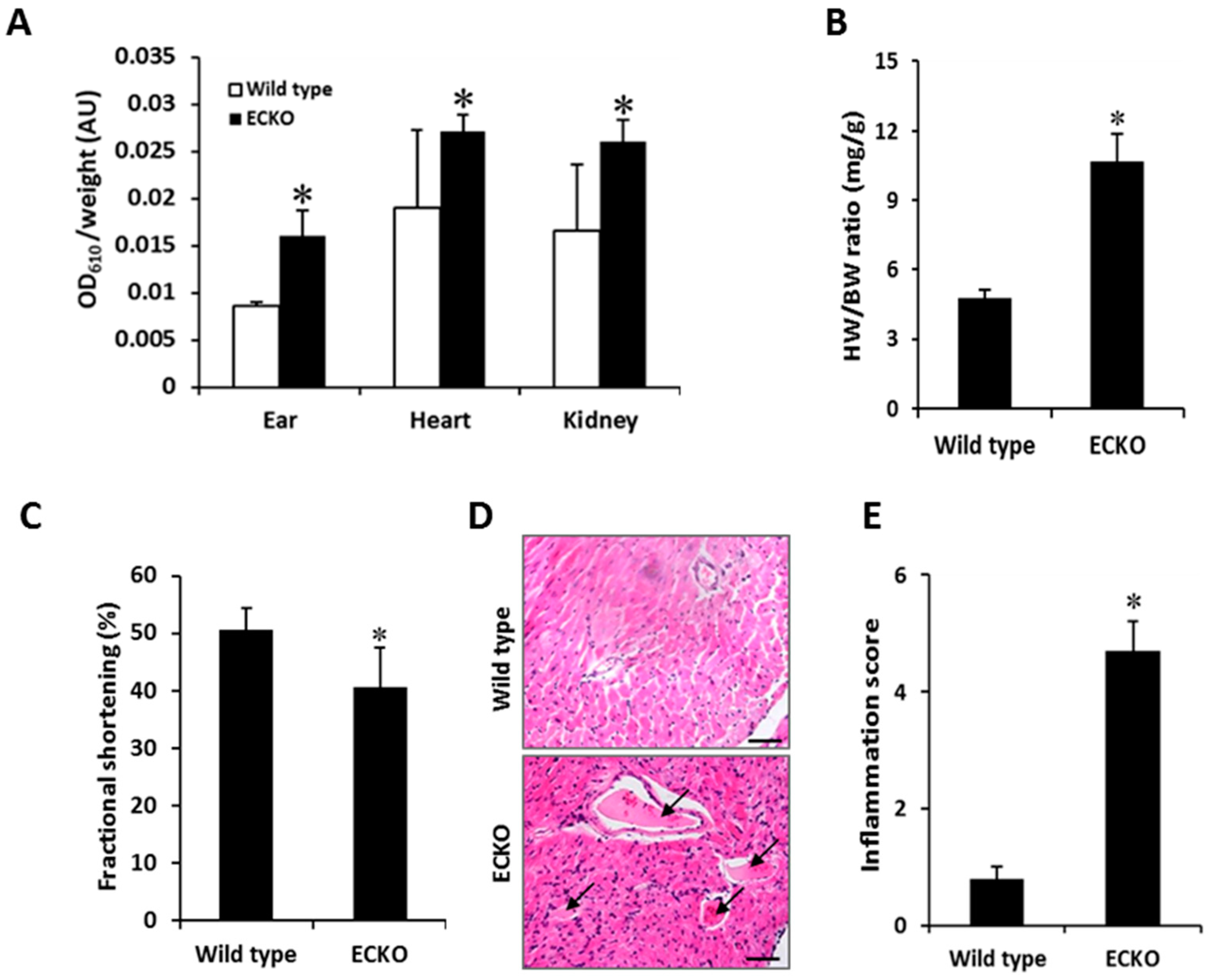 Ijms 20 00172 g002 Ijms 20 00172 g002