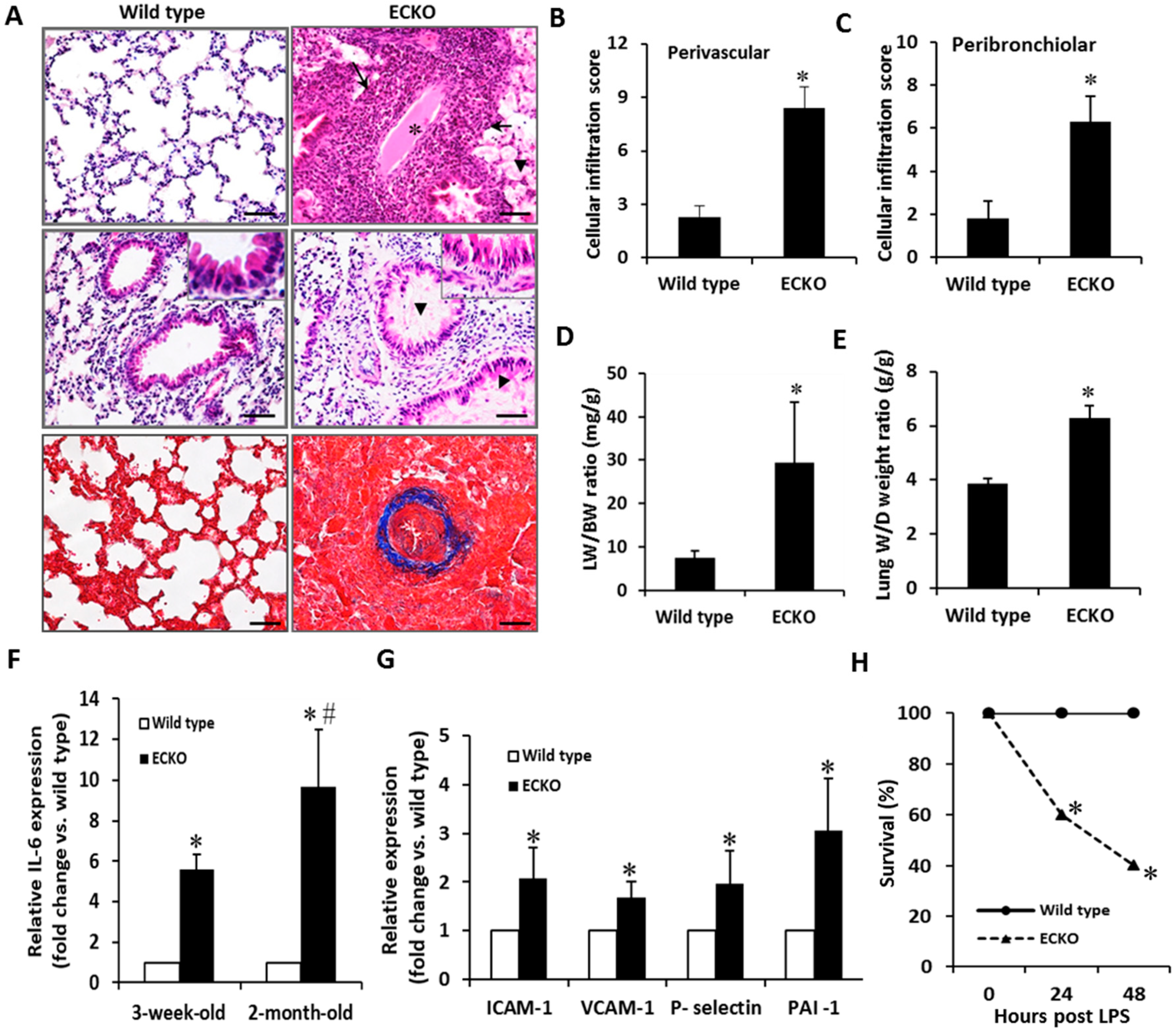 Ijms 20 00172 g003 Ijms 20 00172 g003