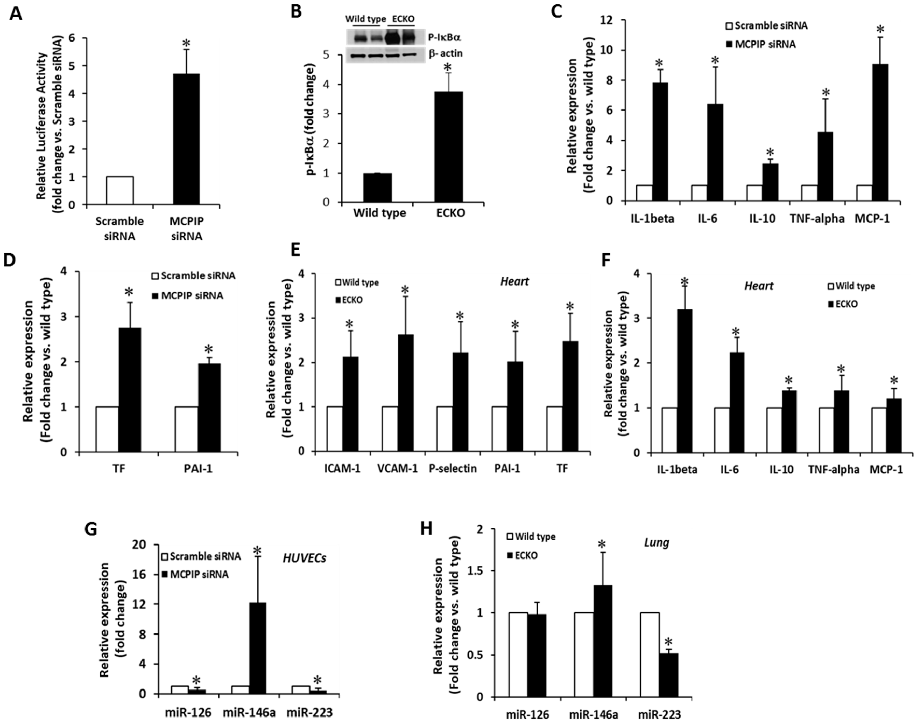 Ijms 20 00172 g006 Ijms 20 00172 g006