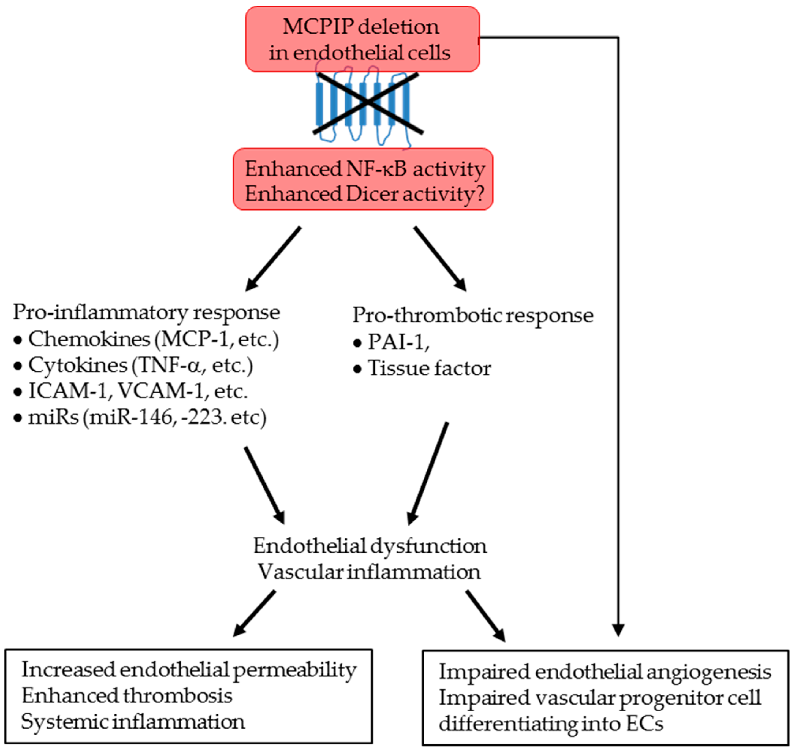 Ijms 20 00172 g007 Ijms 20 00172 g007