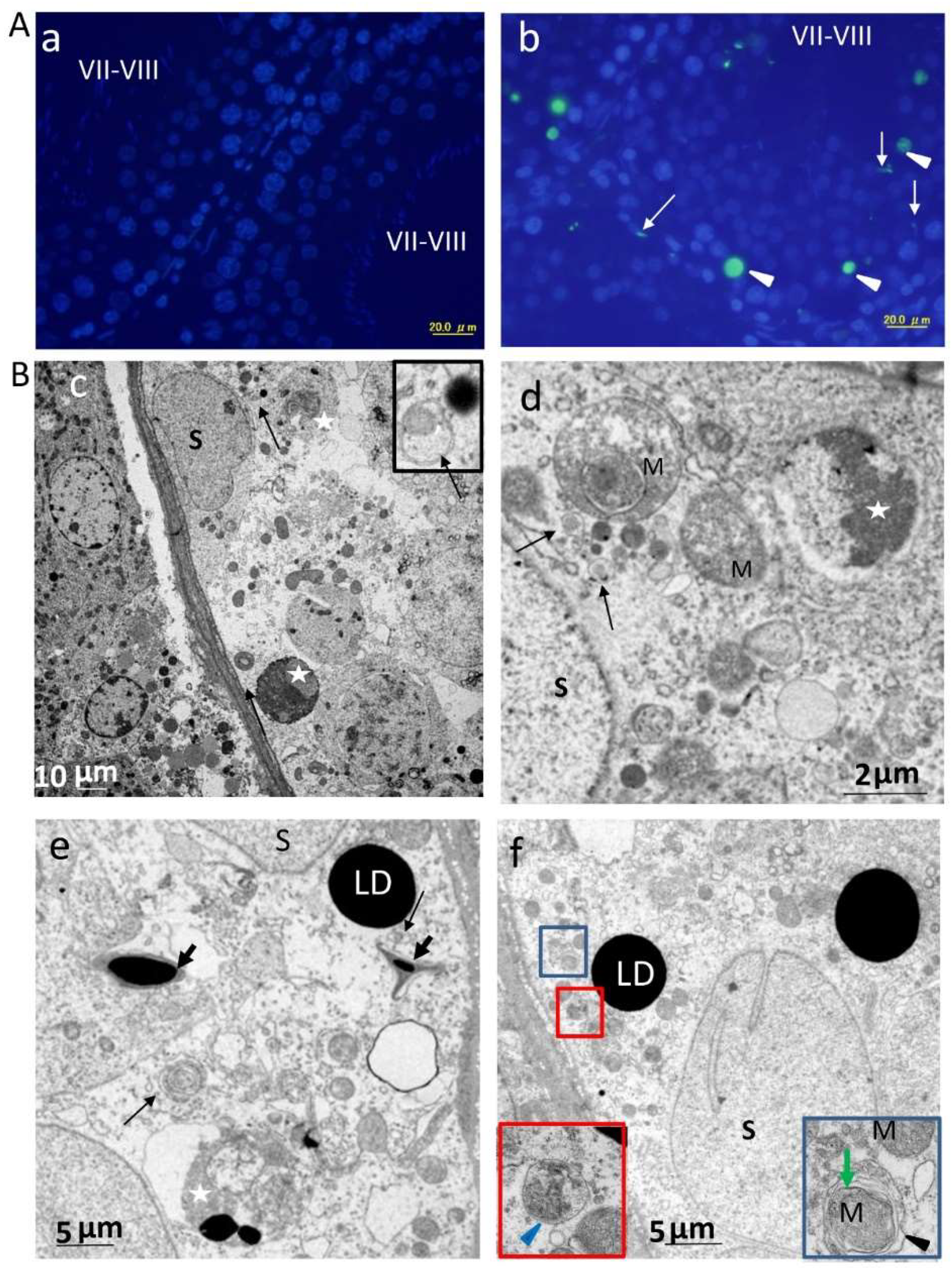 Ijms 20 00184 g006