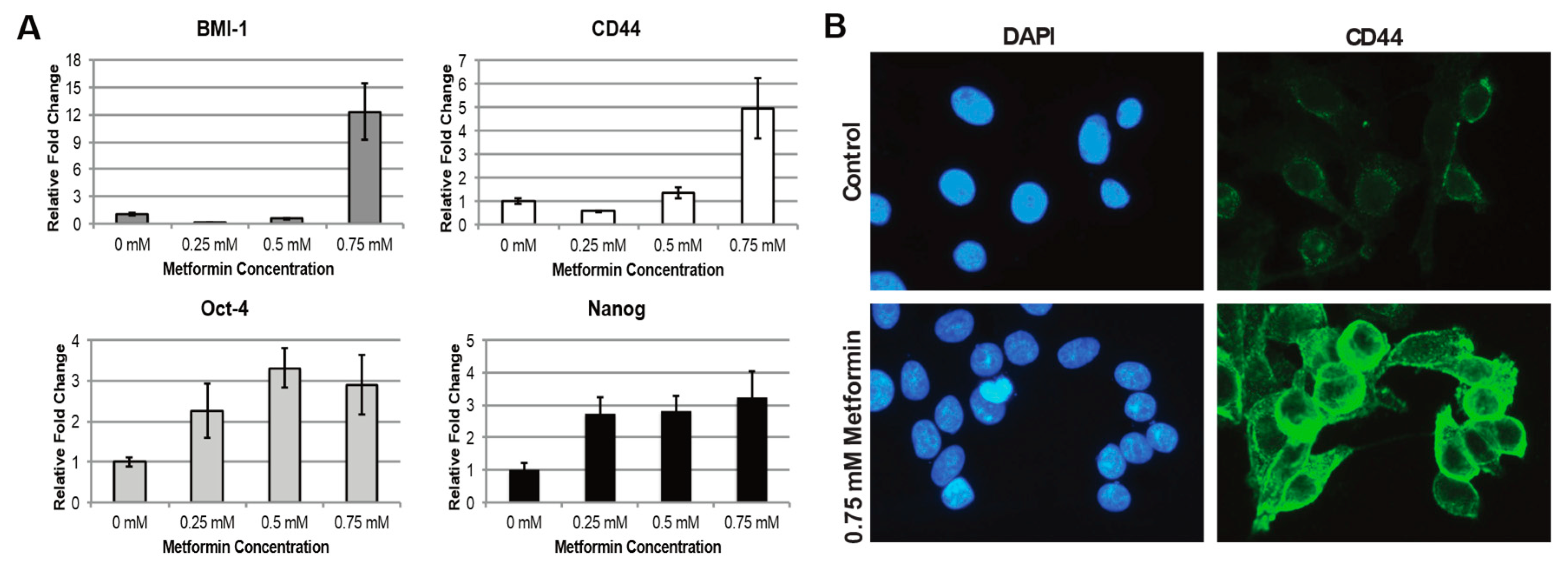 Ijms 20 00193 g002 Ijms 20 00193 g002