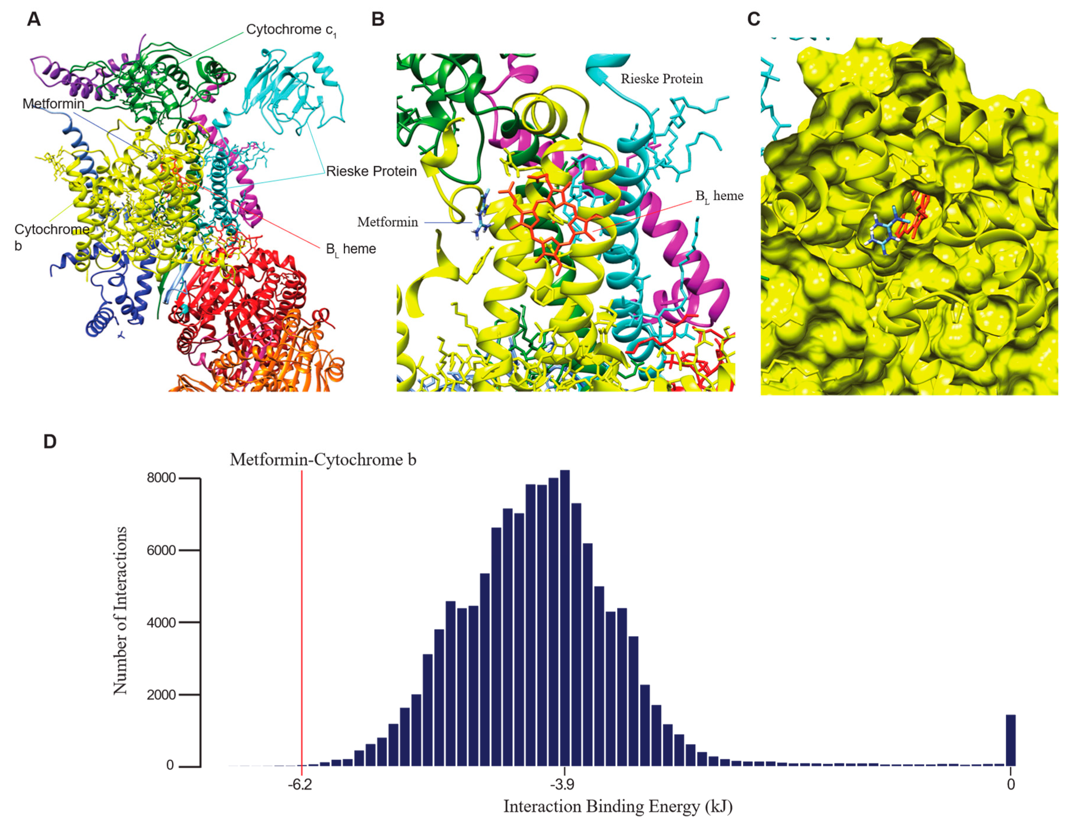 Ijms 20 00193 g003 Ijms 20 00193 g003