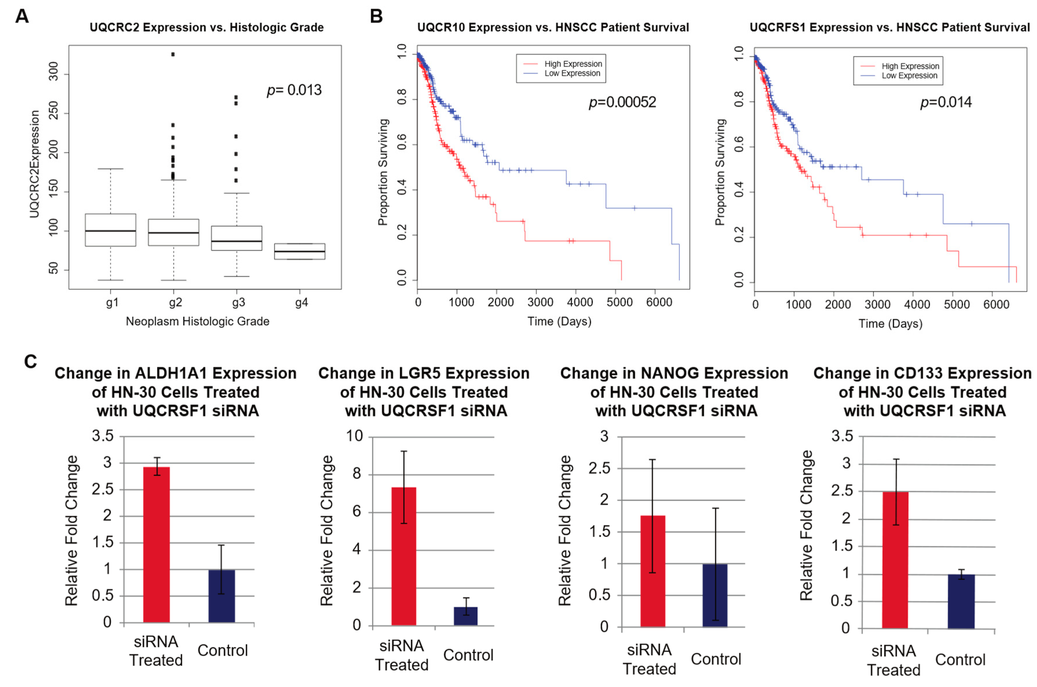Ijms 20 00193 g004 Ijms 20 00193 g004