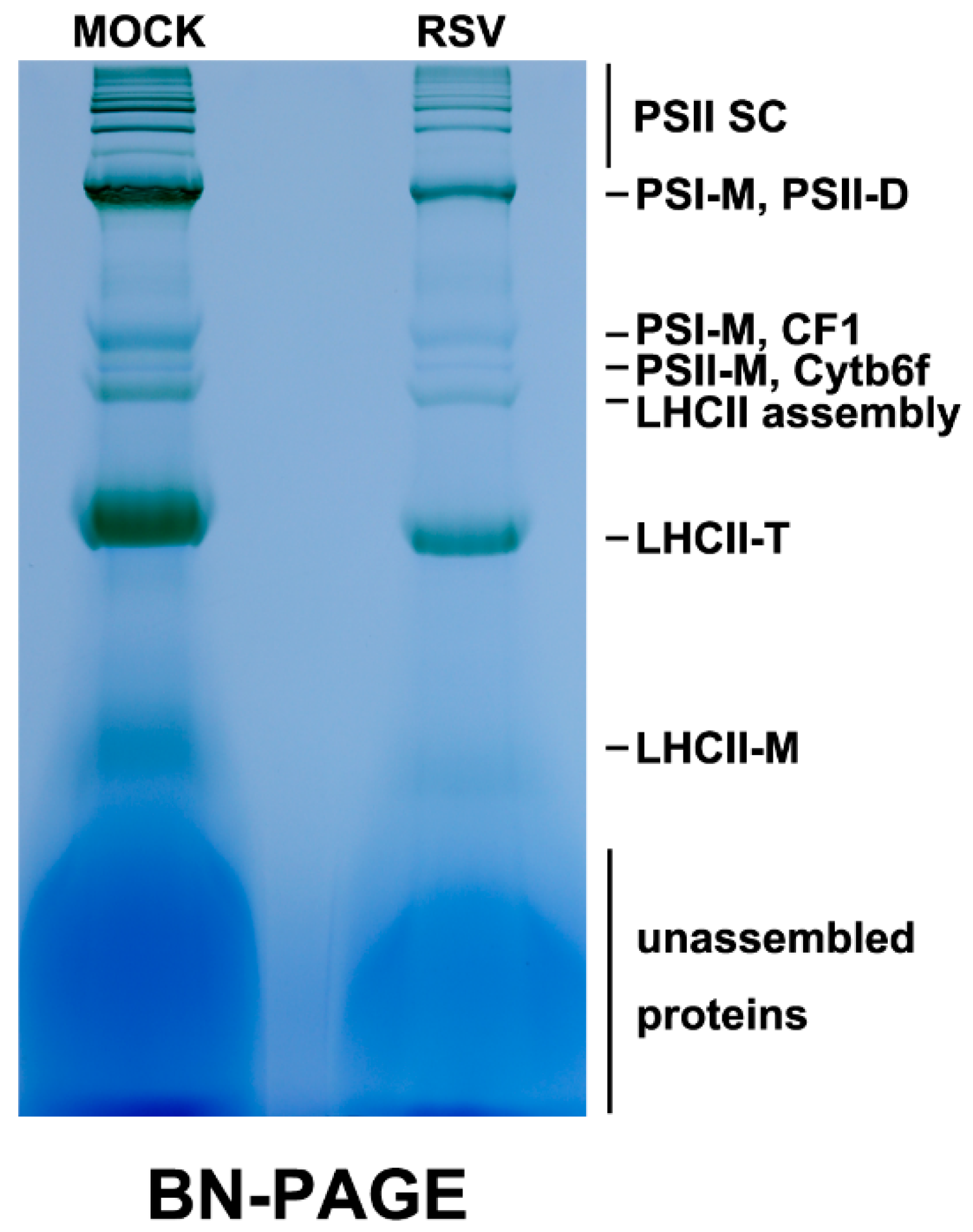 Ijms 20 00253 g002