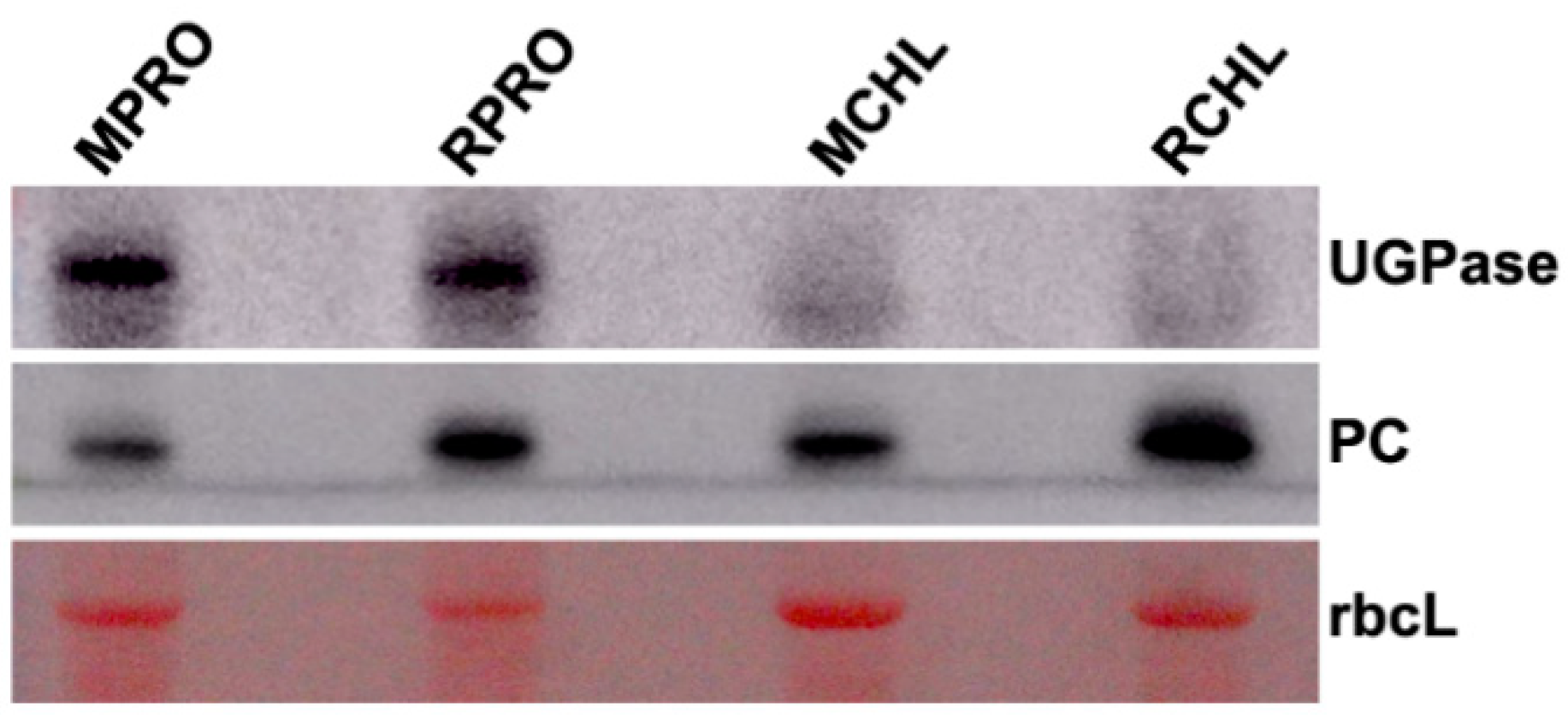 Ijms 20 00253 g003