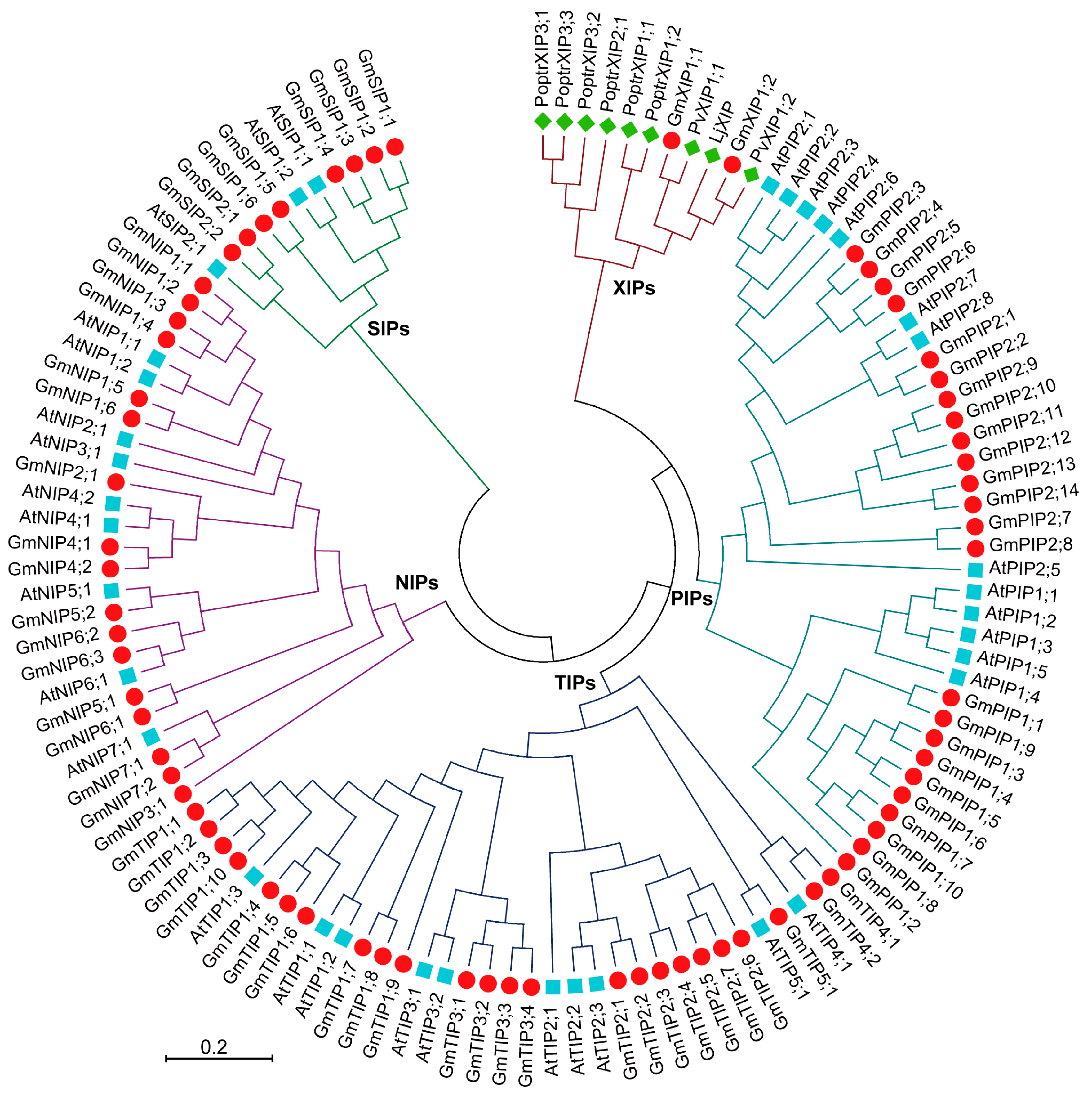 Ijms 20 00262 g002 Ijms 20 00262 g002
