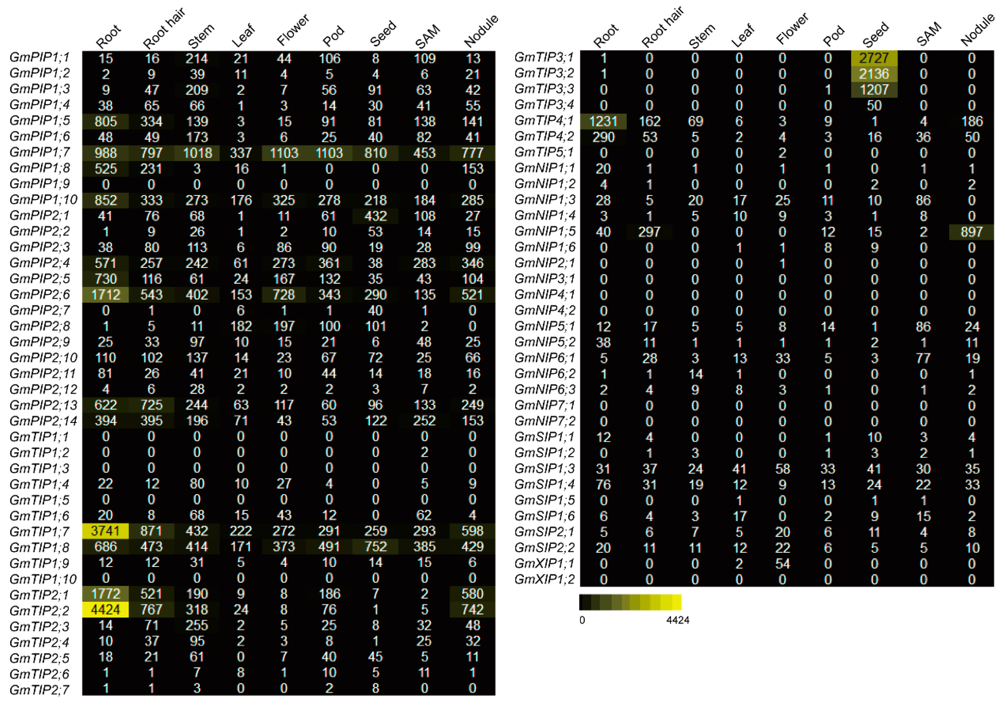 Ijms 20 00262 g003 Ijms 20 00262 g003