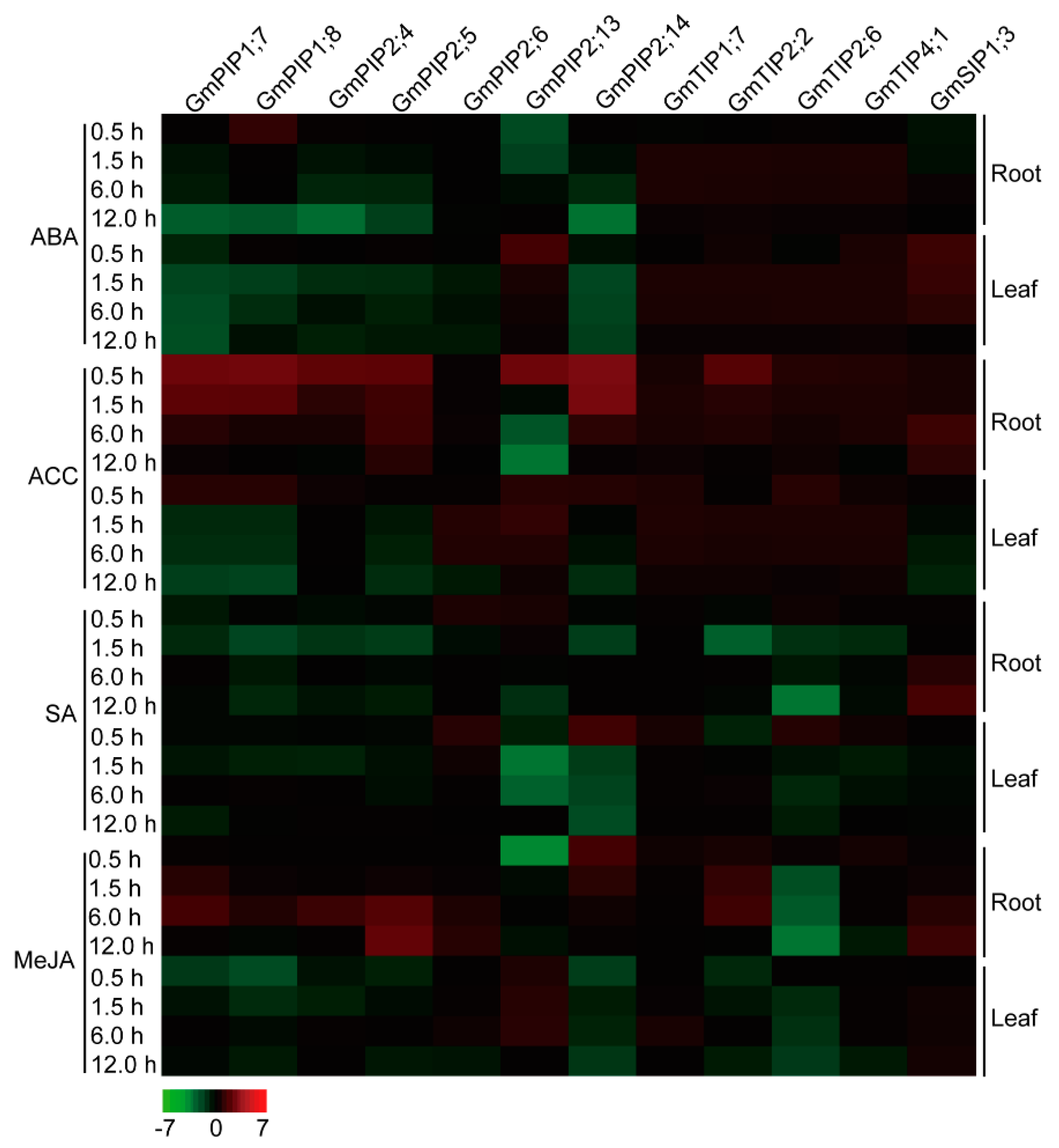 Ijms 20 00262 g005 Ijms 20 00262 g005