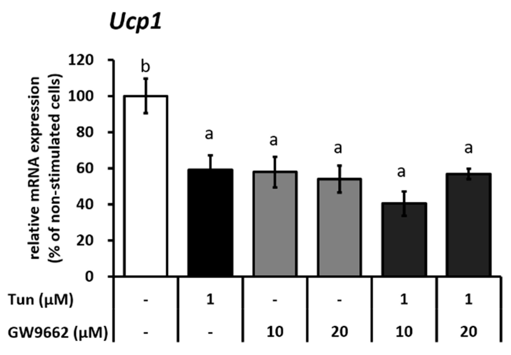 Ijms 20 00274 g004 Ijms 20 00274 g004