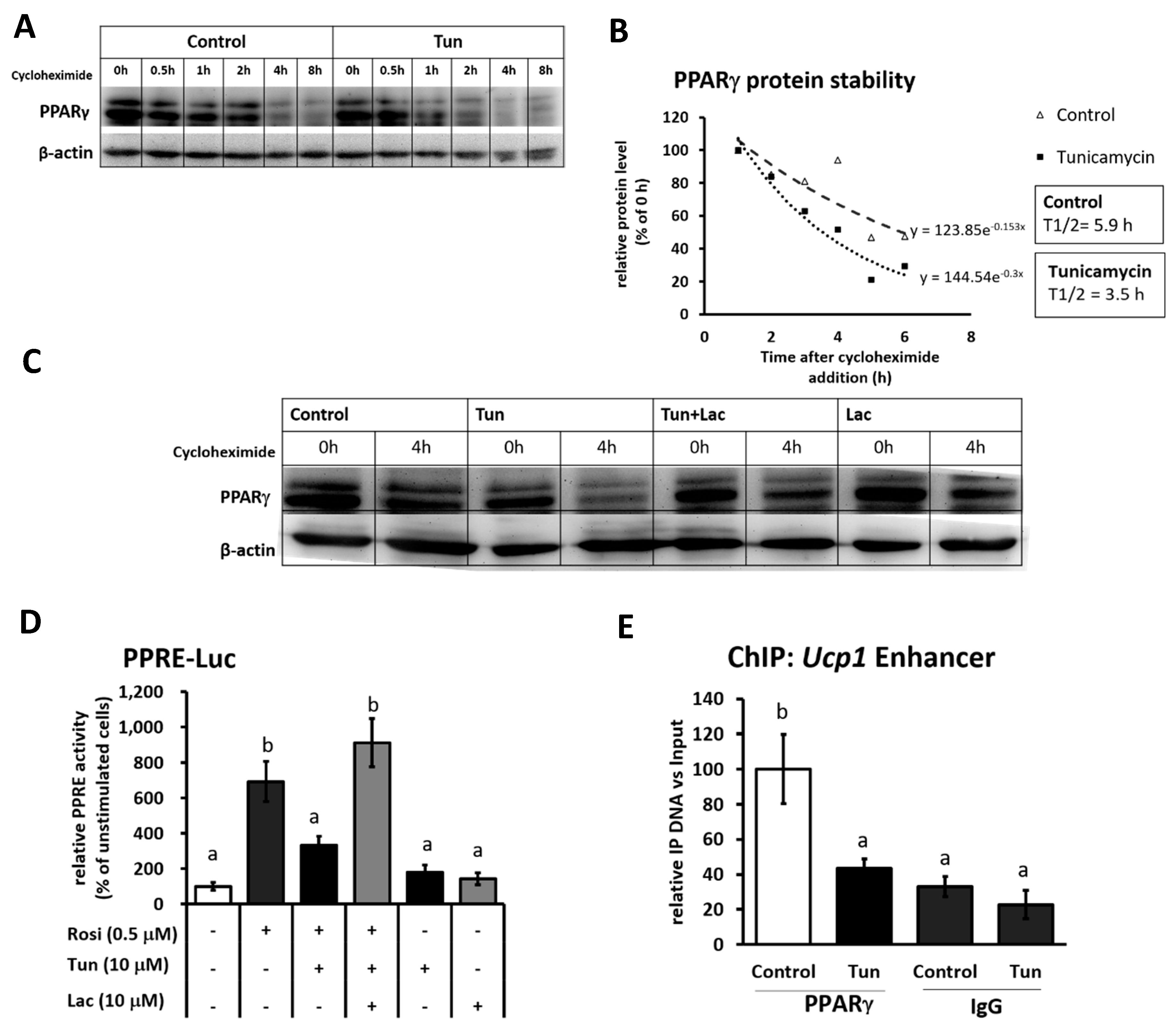 Ijms 20 00274 g005 Ijms 20 00274 g005