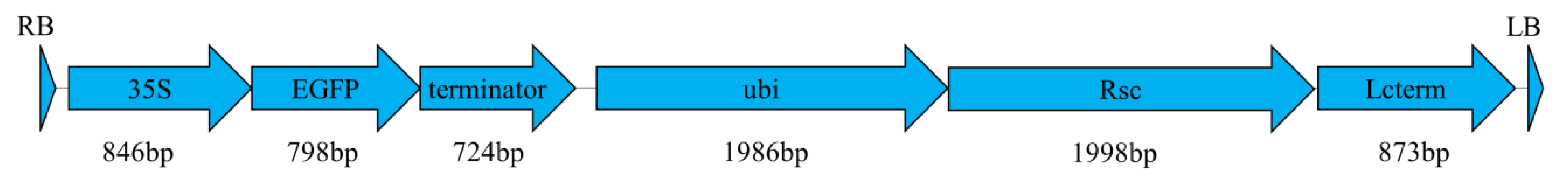 Ijms 20 00279 g005