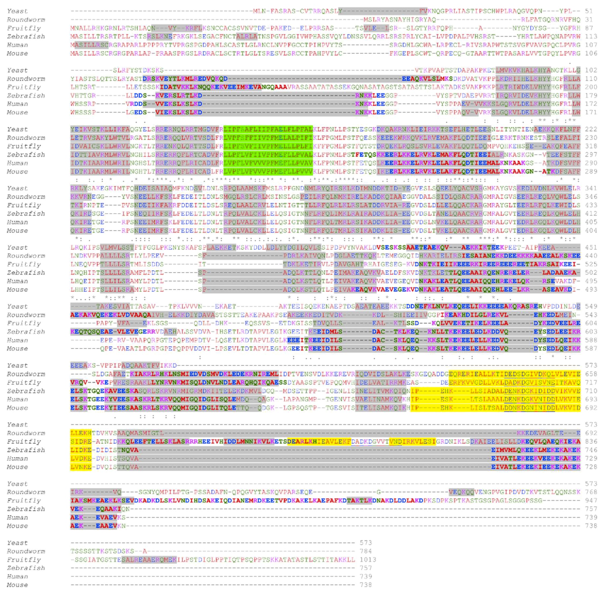 Ijms 20 00286 g003 Ijms 20 00286 g003