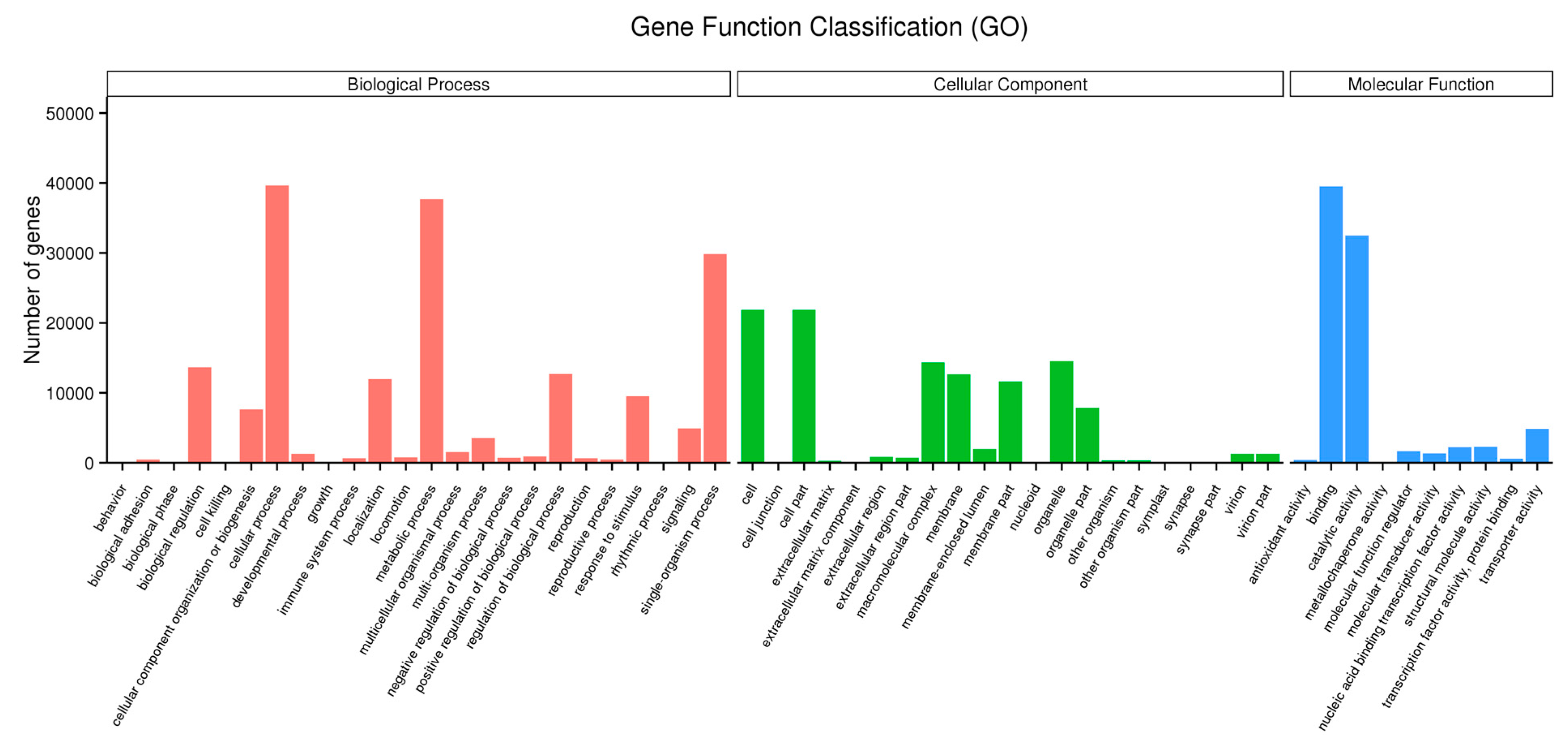 Ijms 20 00328 g001 Ijms 20 00328 g001
