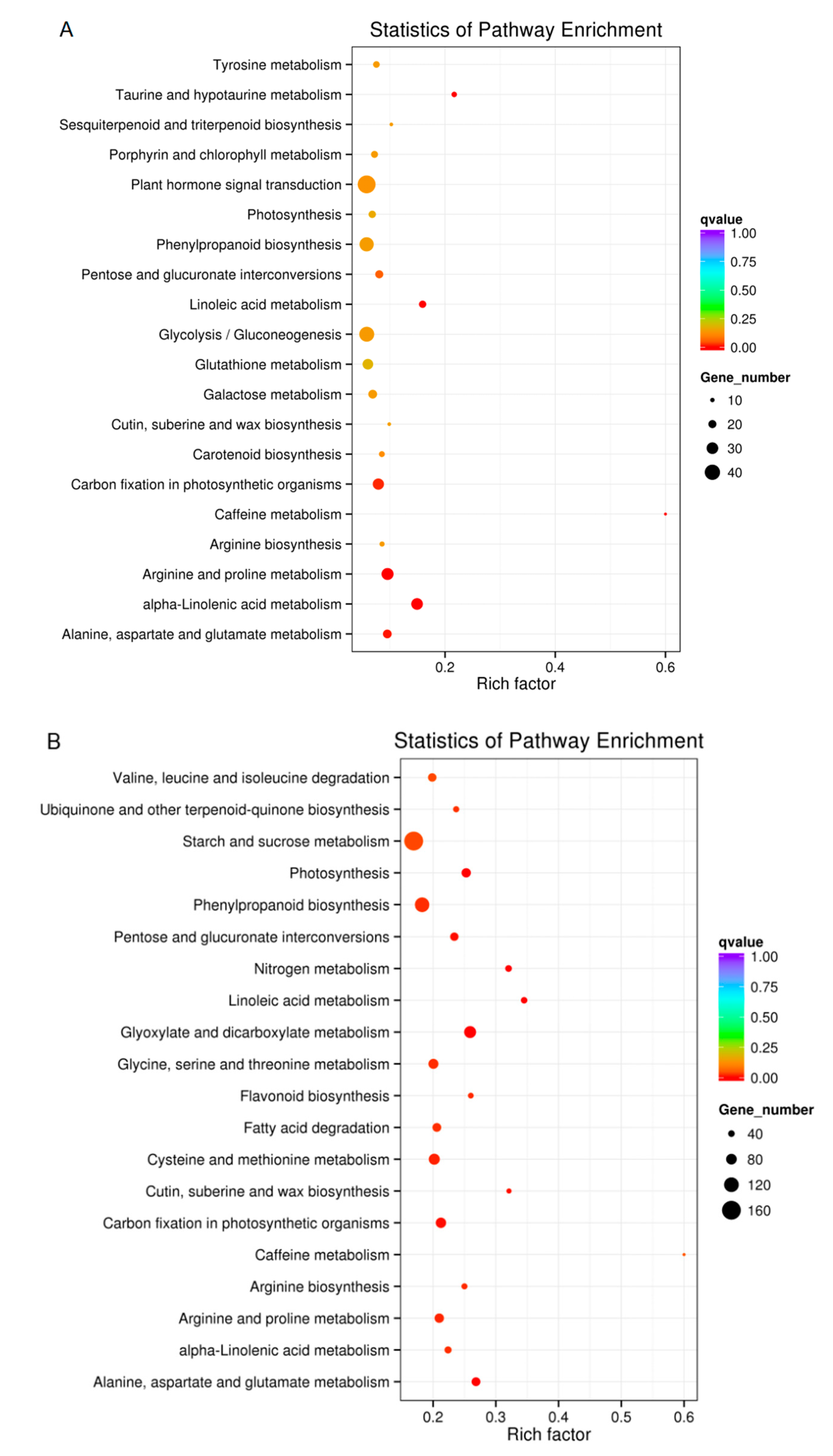 Ijms 20 00328 g006 Ijms 20 00328 g006