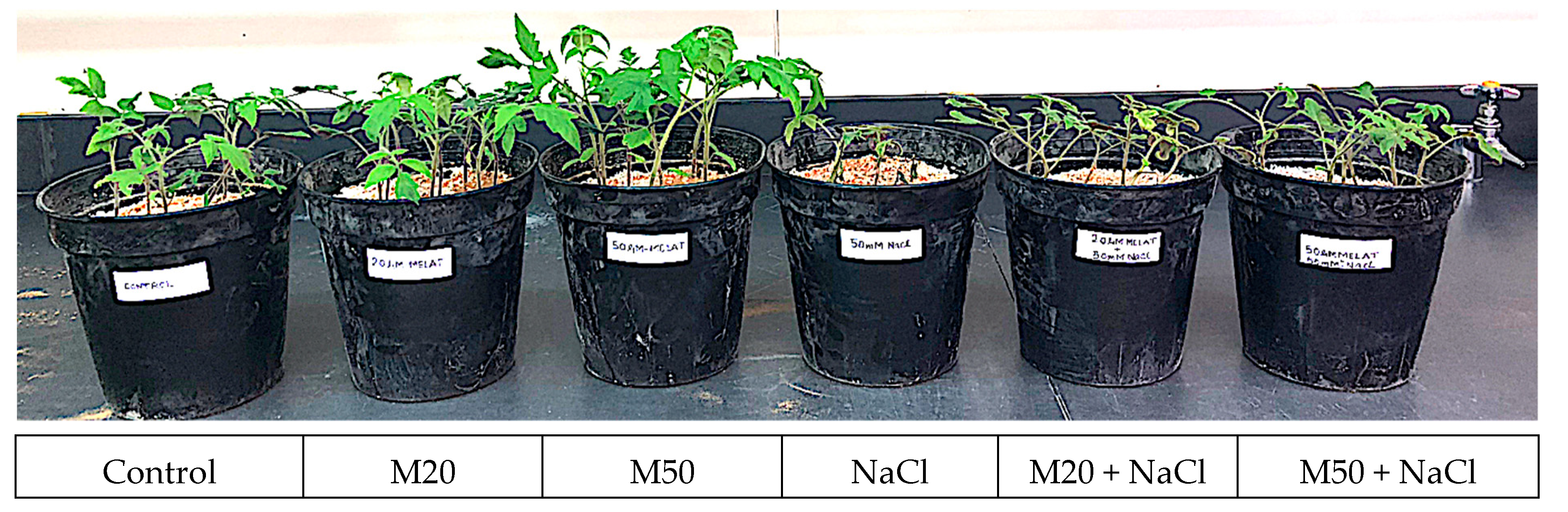 Ijms 20 00353 g001 Ijms 20 00353 g001