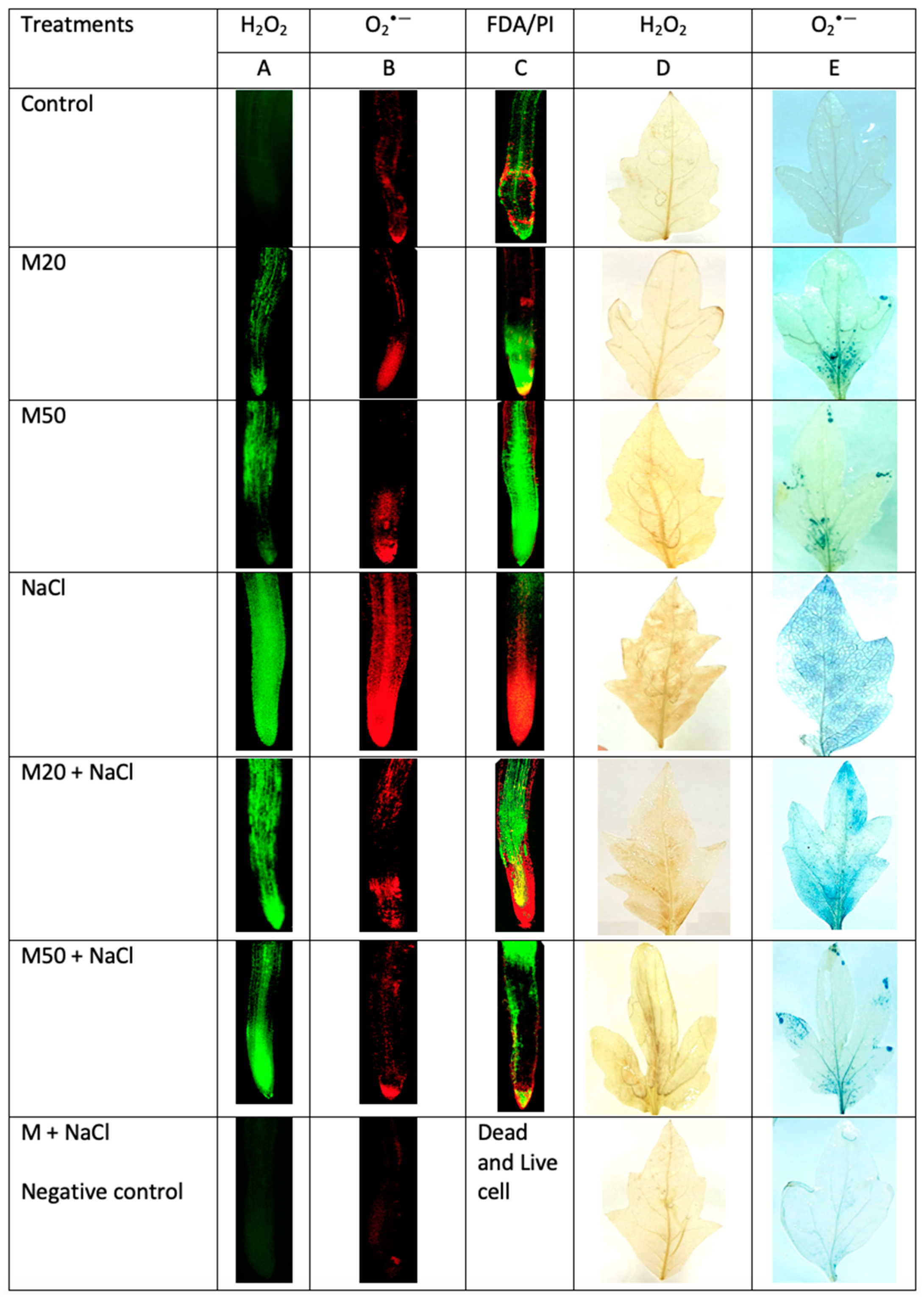 Ijms 20 00353 g006 Ijms 20 00353 g006