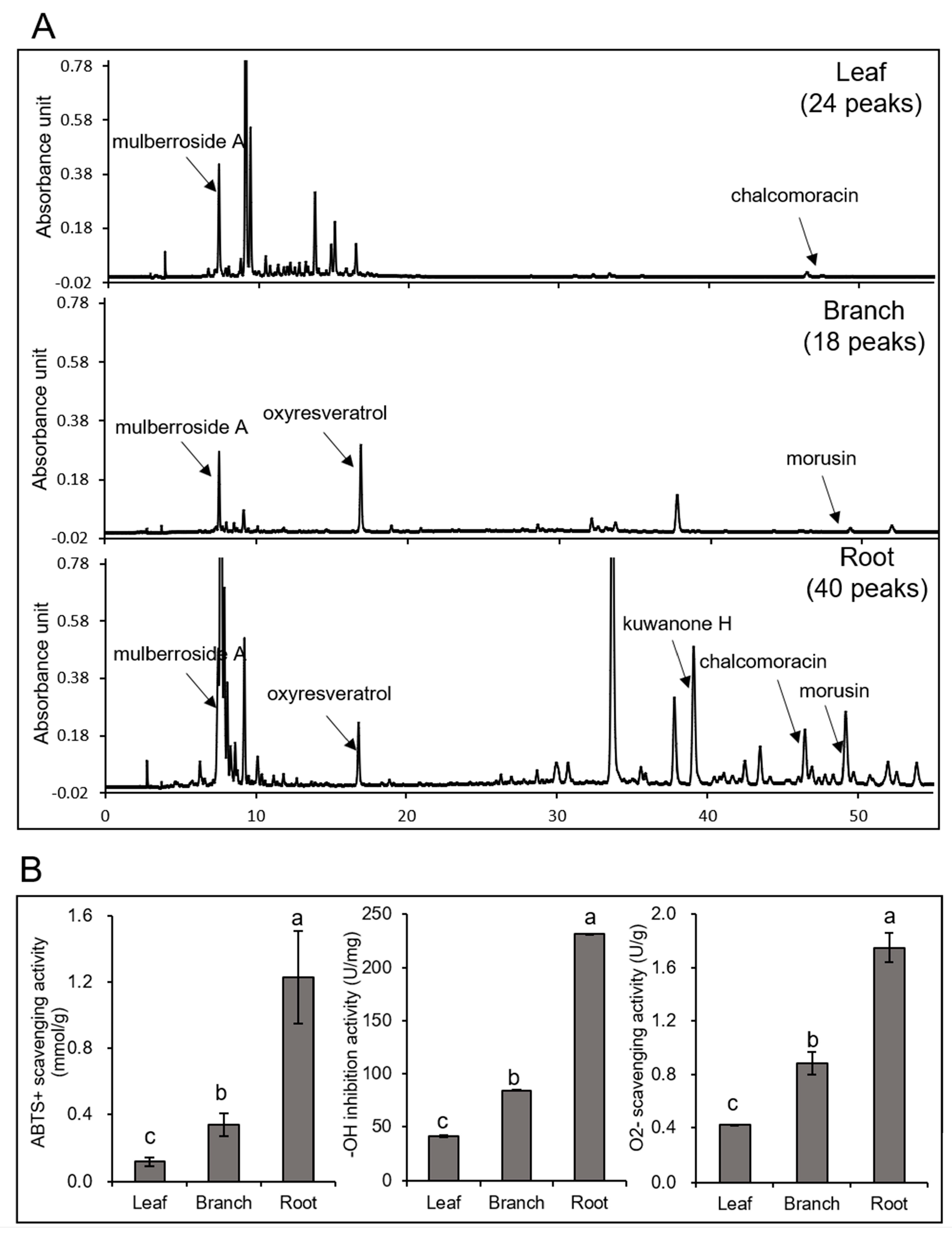 Ijms 20 00365 g001 Ijms 20 00365 g001