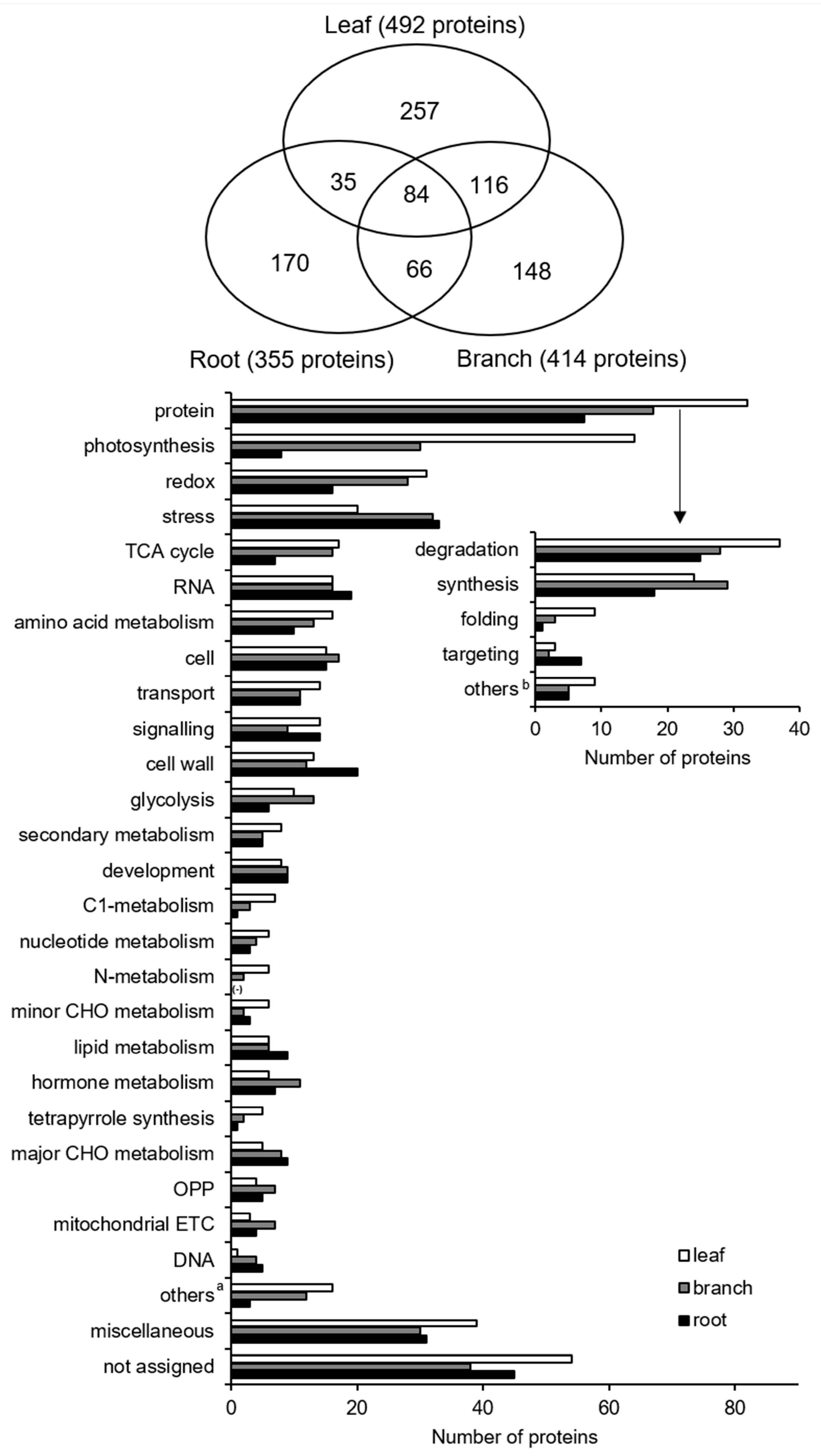 Ijms 20 00365 g002 Ijms 20 00365 g002