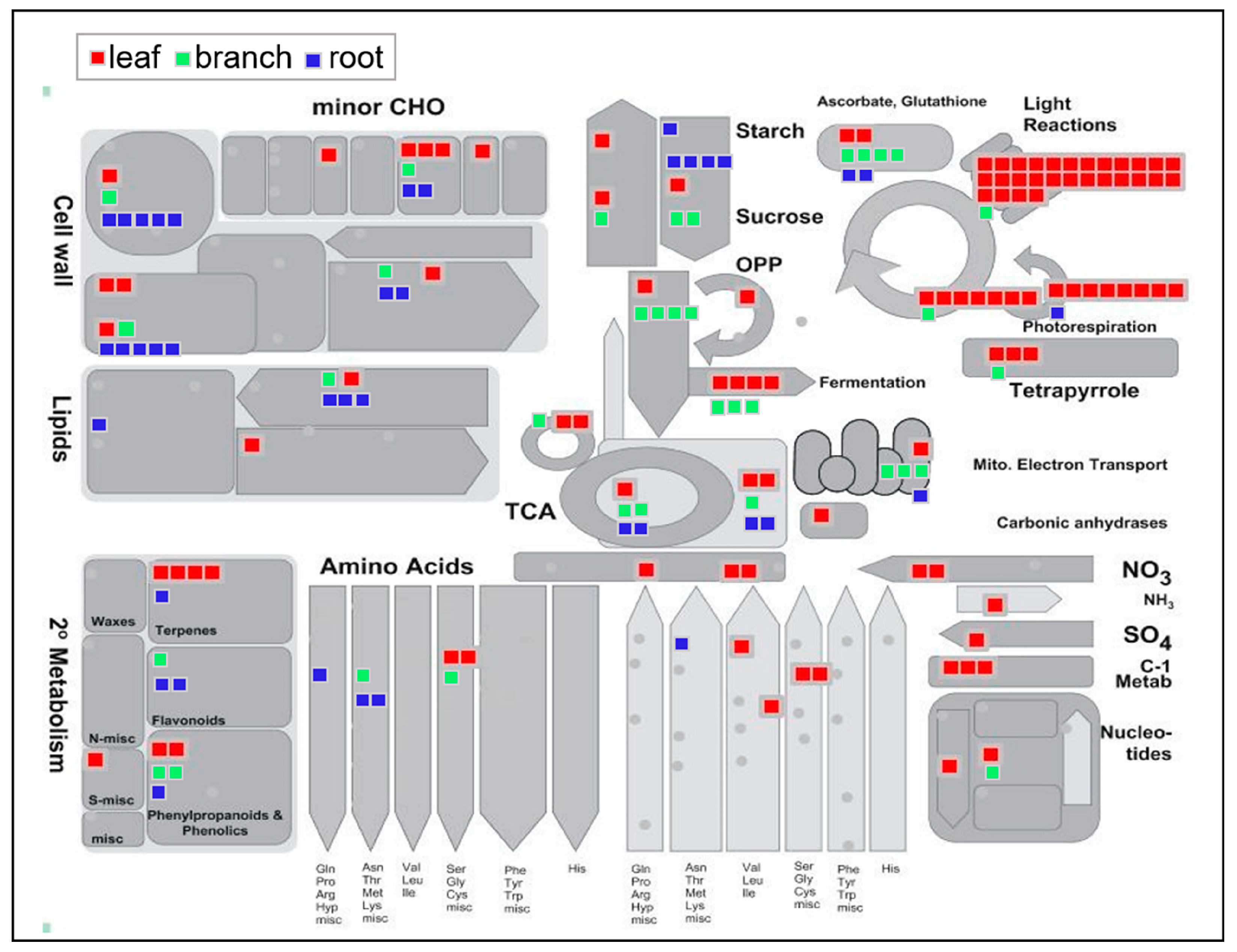 Ijms 20 00365 g003 Ijms 20 00365 g003