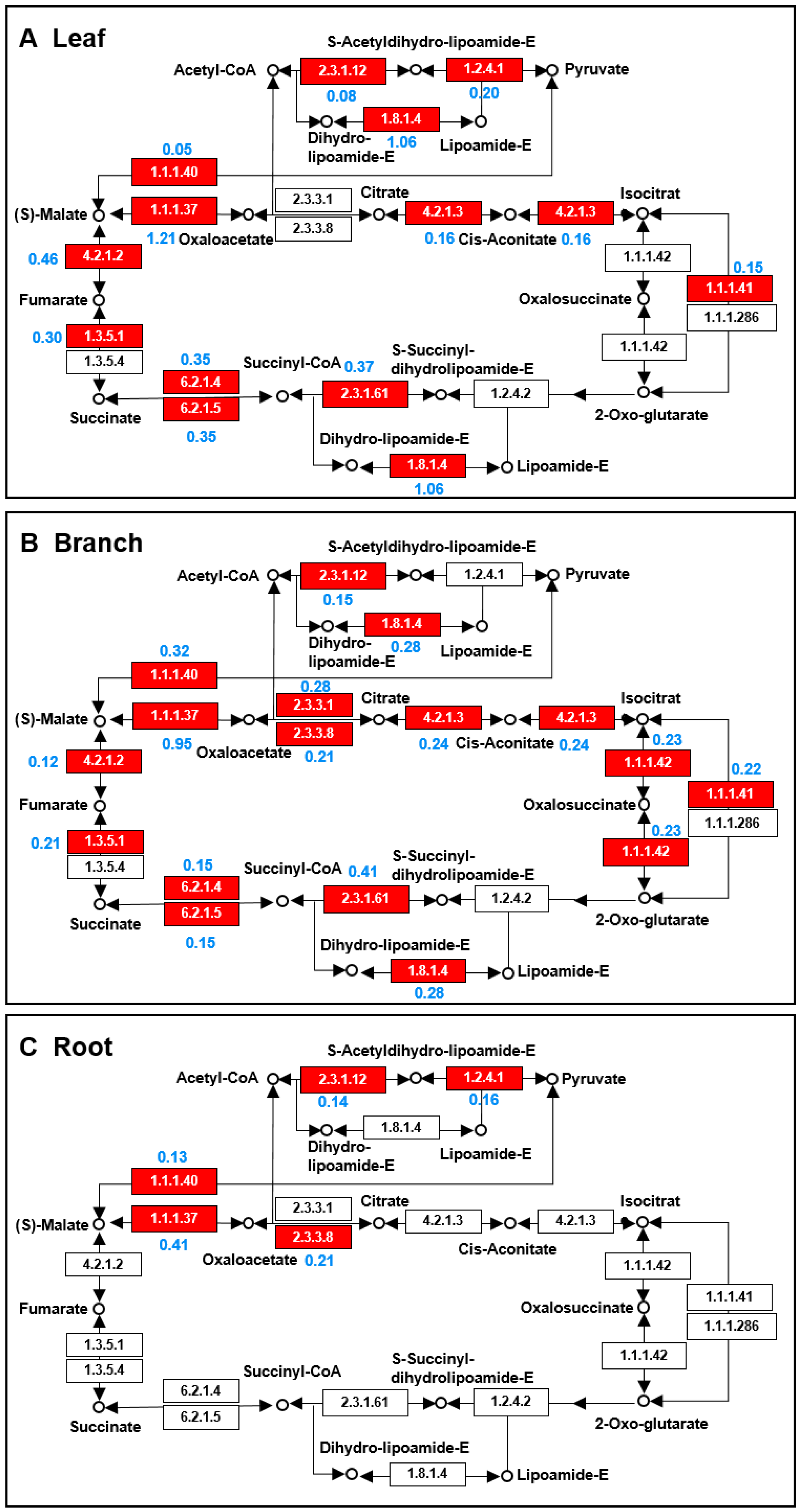 Ijms 20 00365 g005 Ijms 20 00365 g005