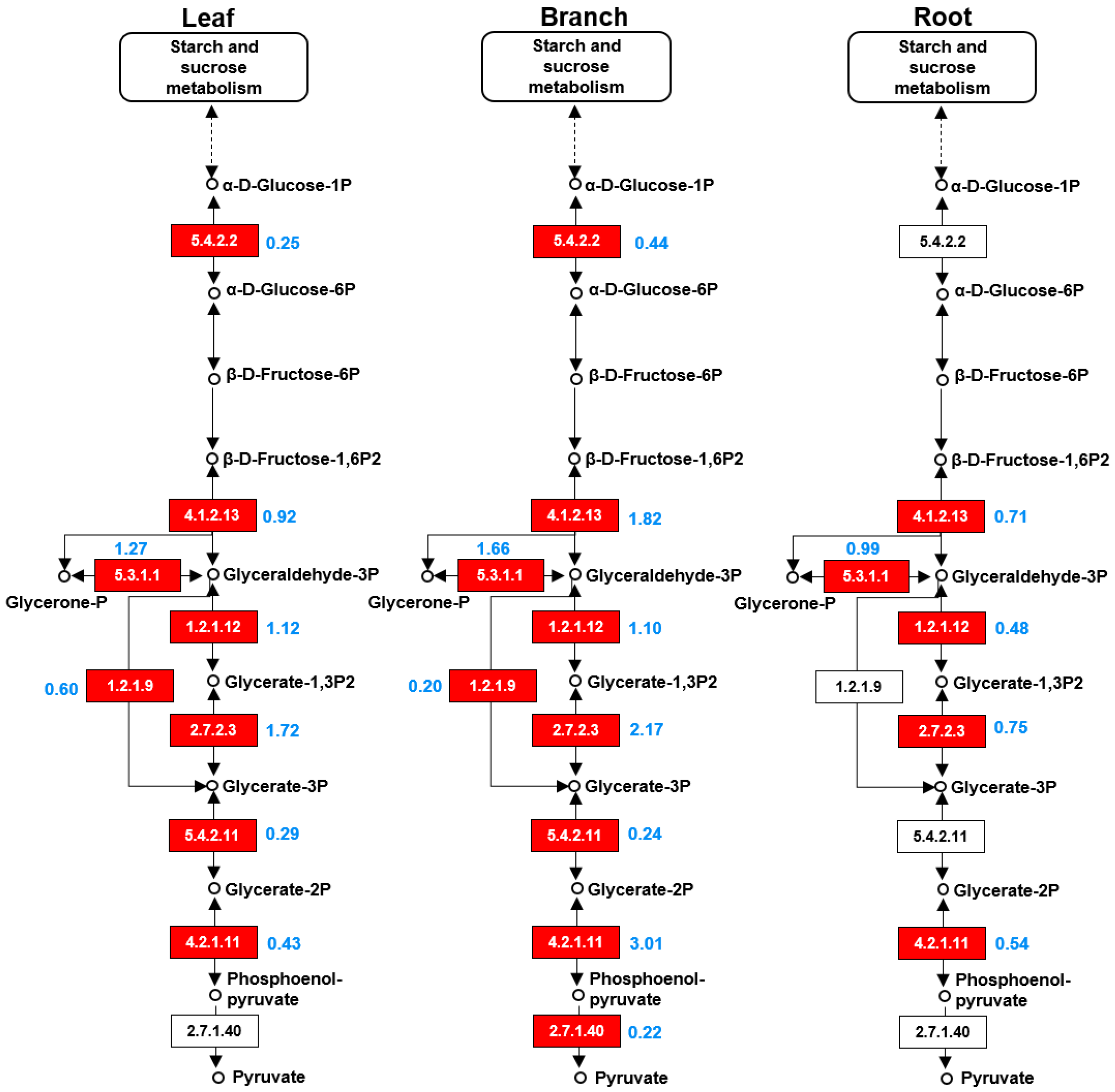 Ijms 20 00365 g006 Ijms 20 00365 g006