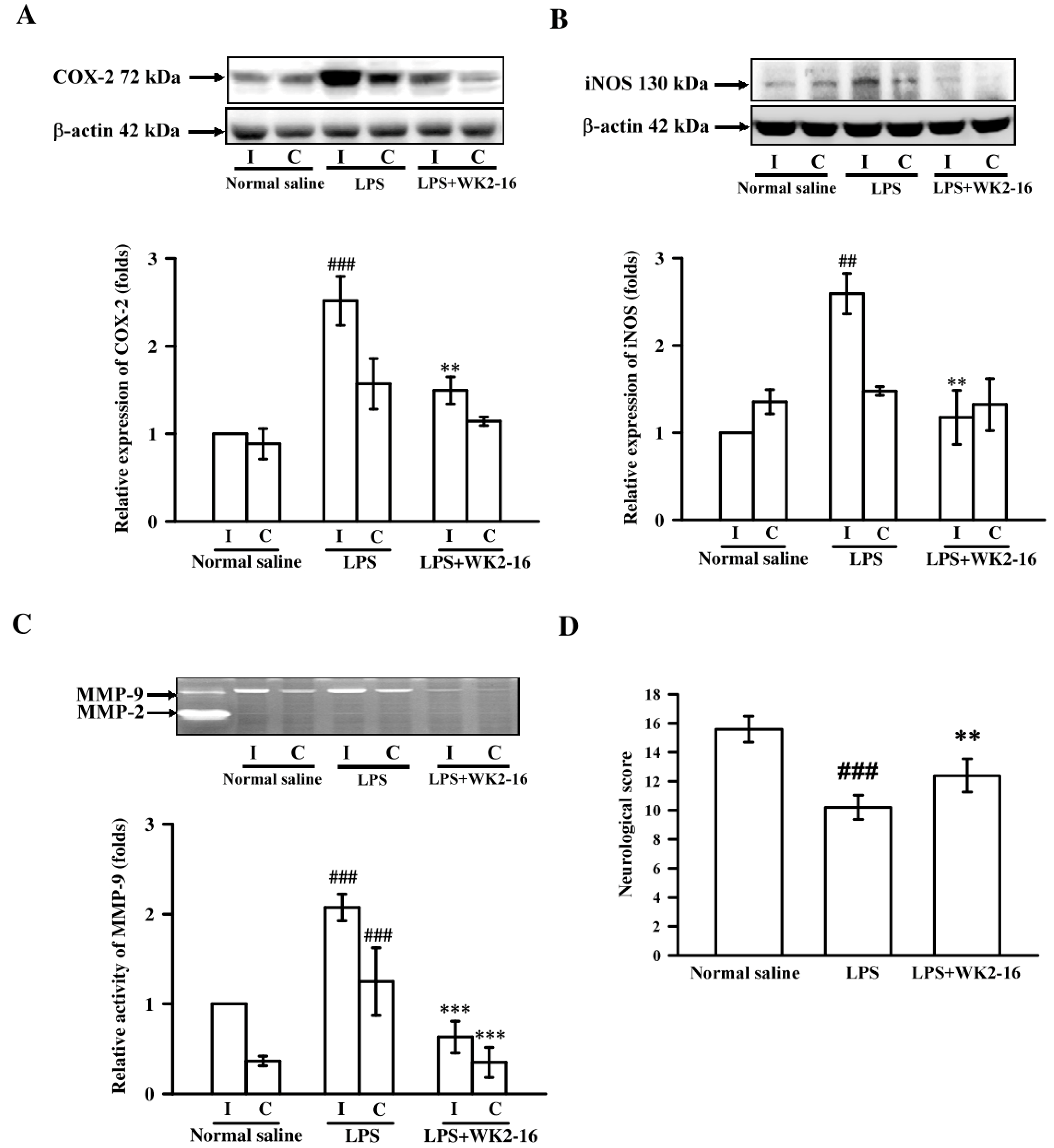 Ijms 20 00410 g001 Ijms 20 00410 g001