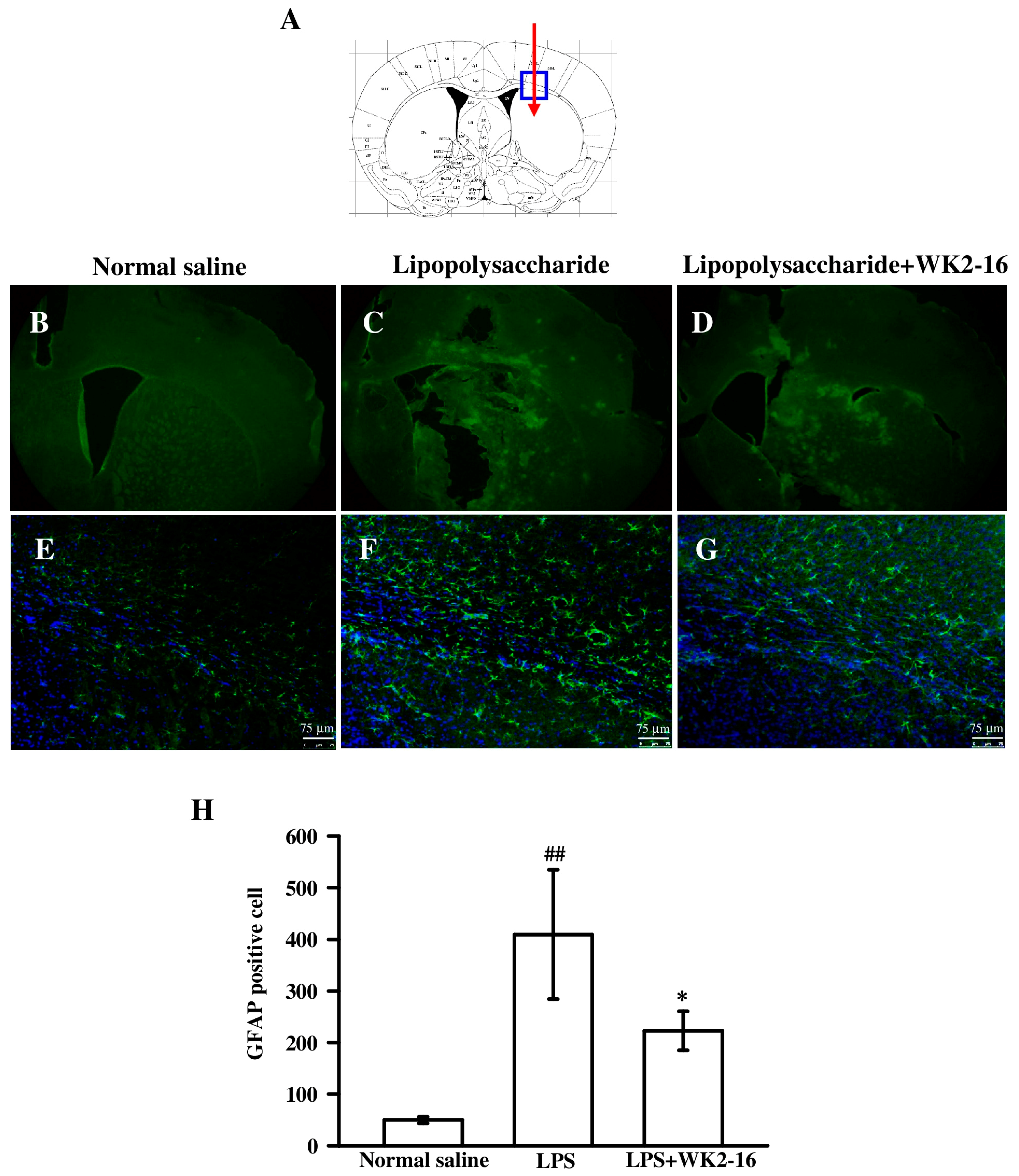 Ijms 20 00410 g002 Ijms 20 00410 g002