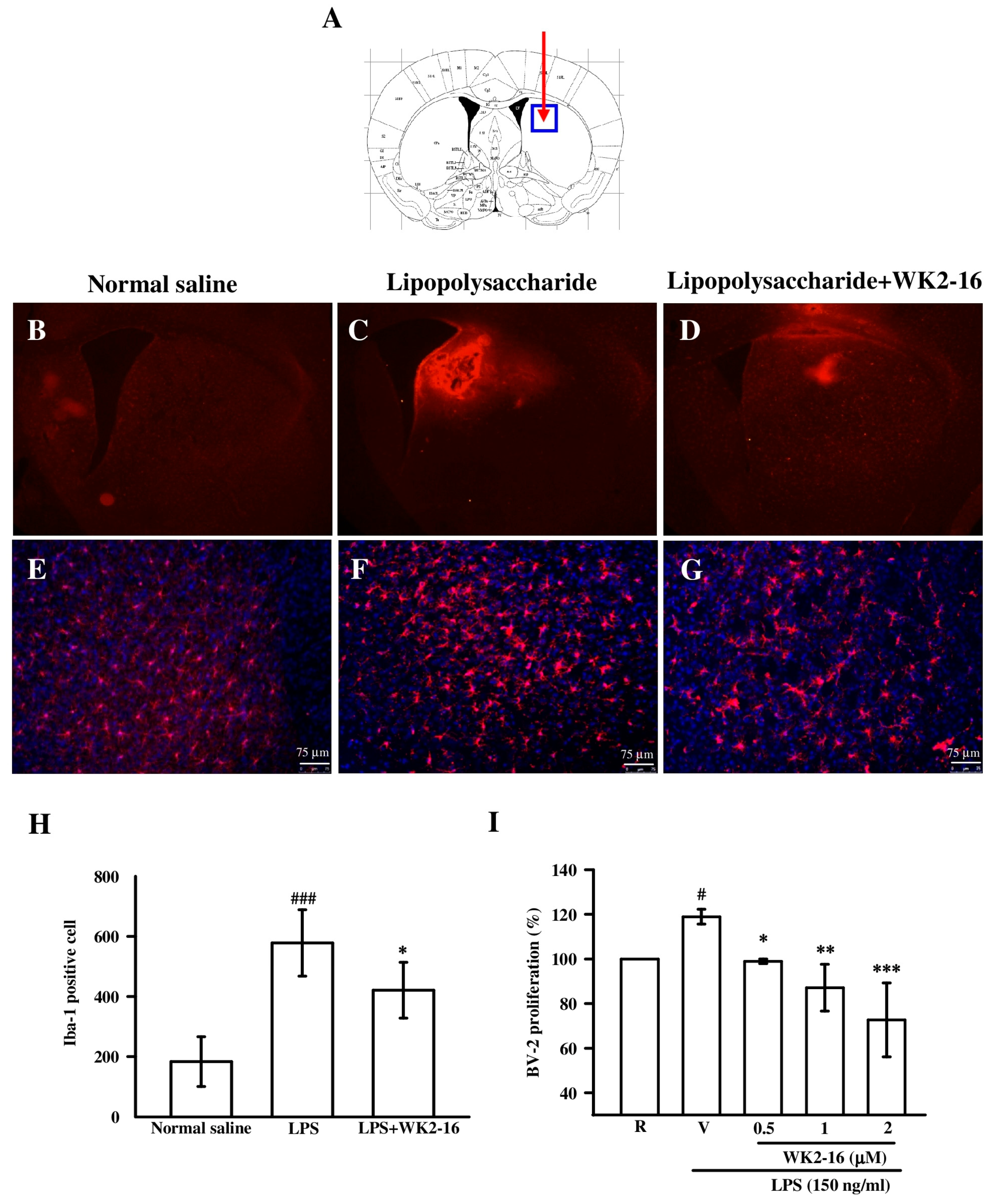 Ijms 20 00410 g003 Ijms 20 00410 g003