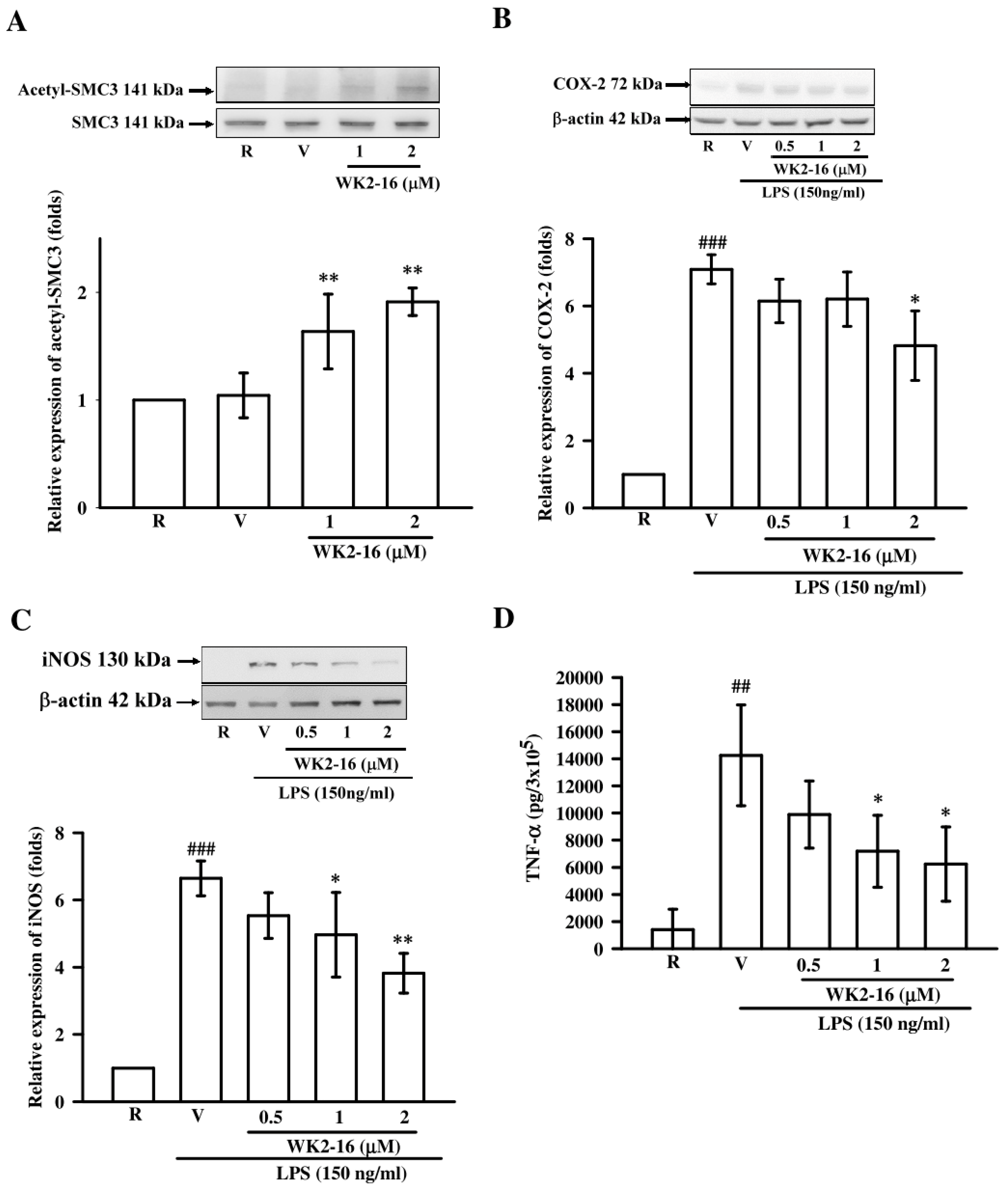 Ijms 20 00410 g004 Ijms 20 00410 g004