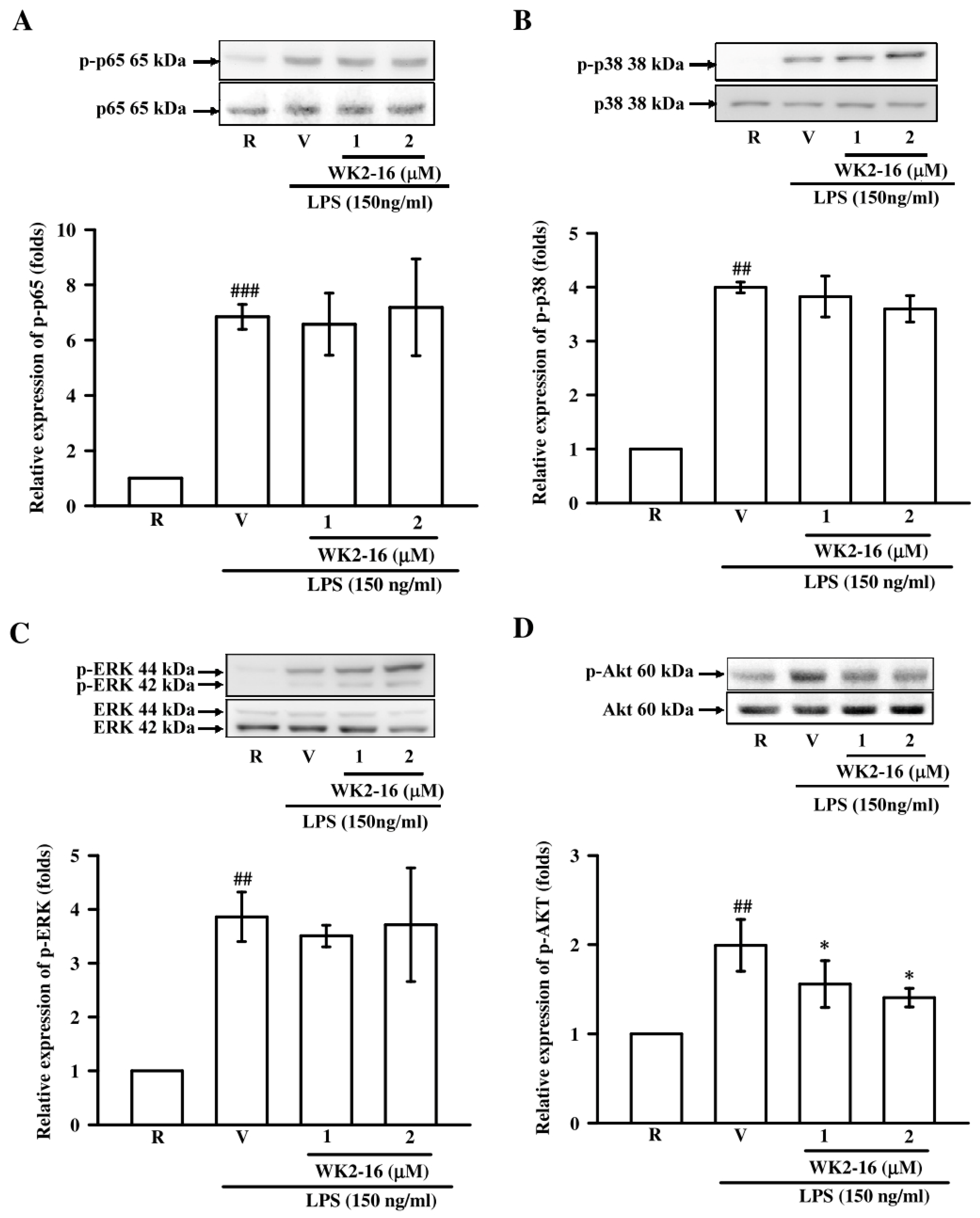 Ijms 20 00410 g005 Ijms 20 00410 g005