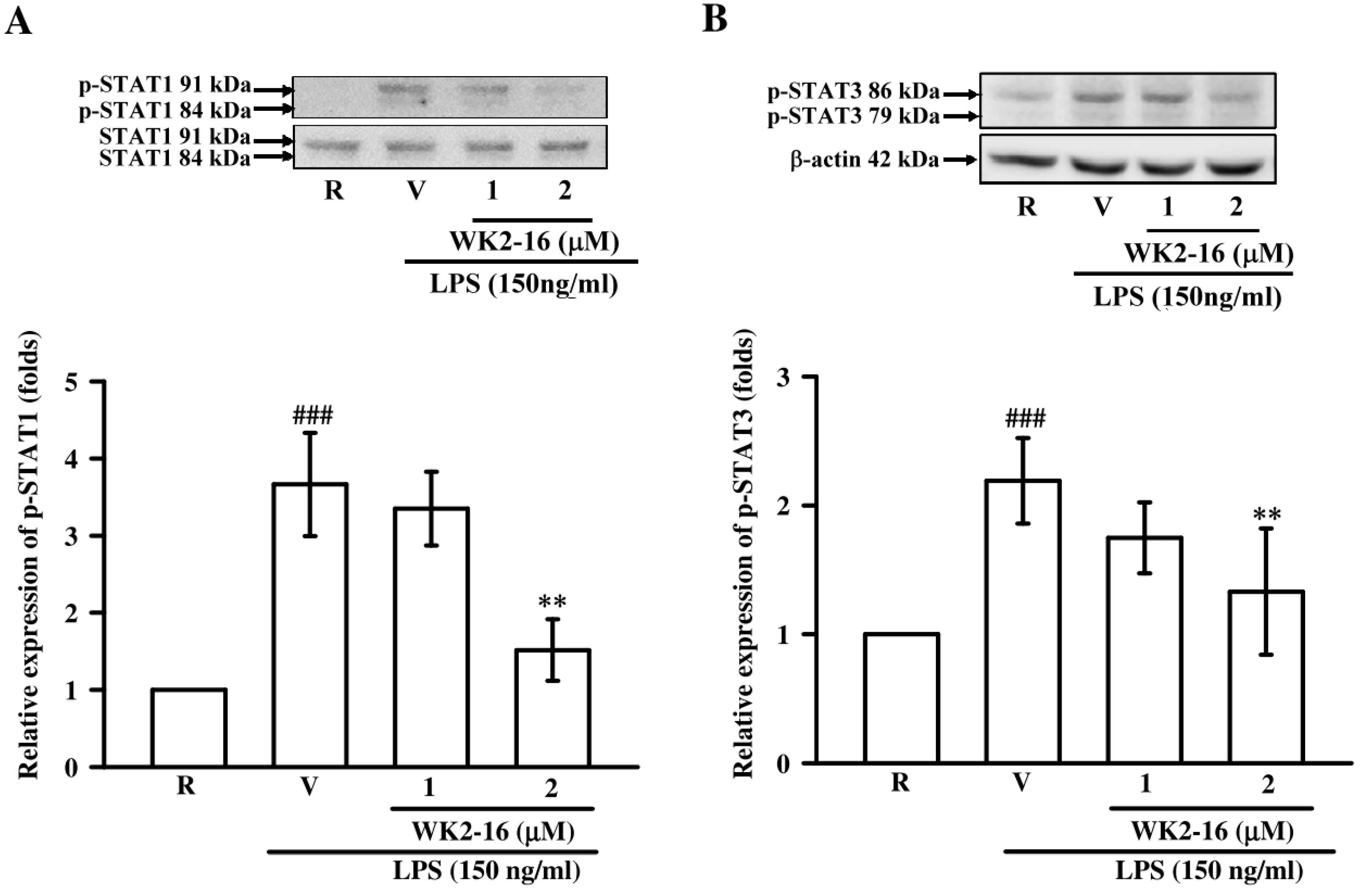 Ijms 20 00410 g006 Ijms 20 00410 g006