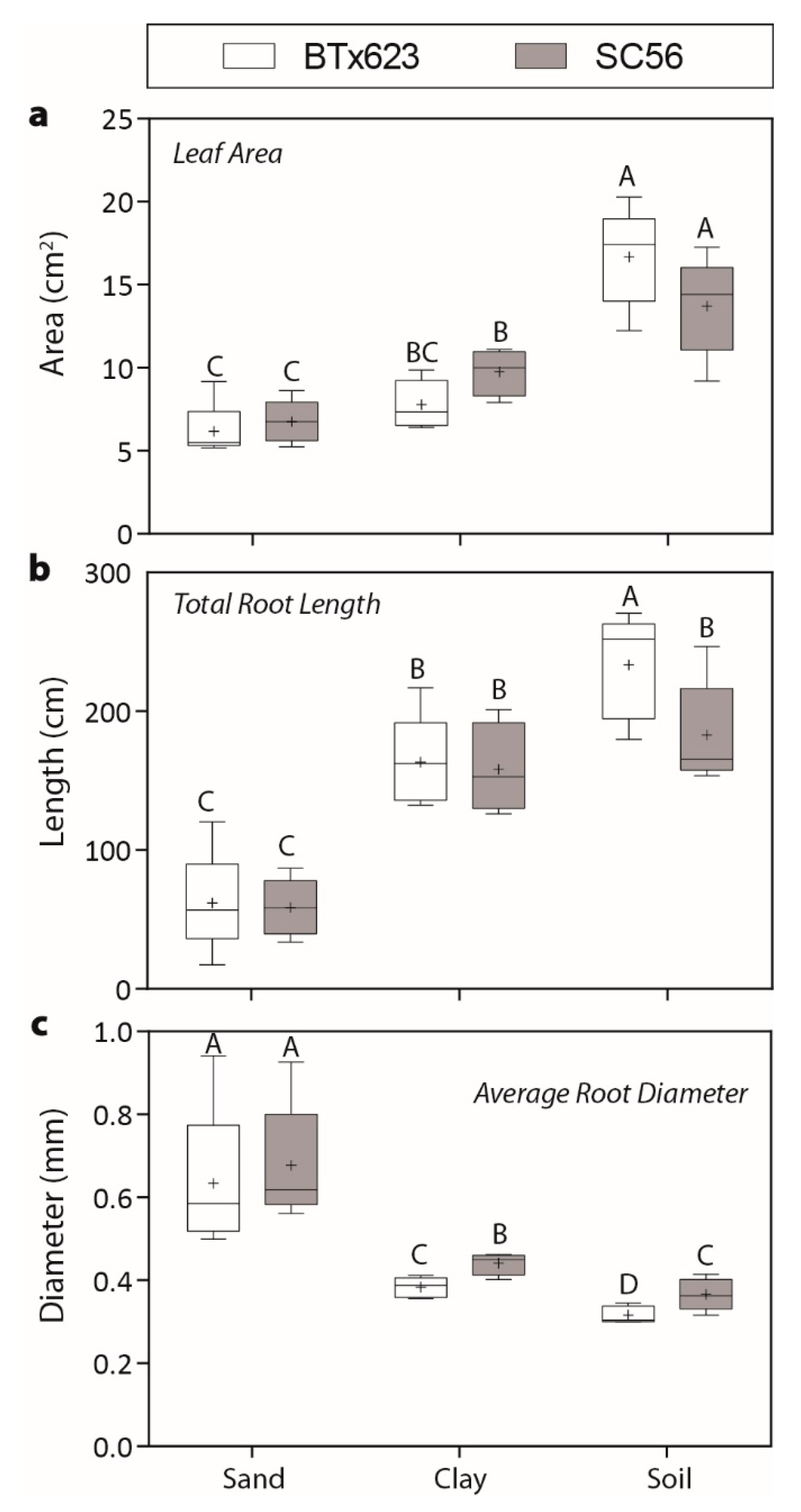 Ijms 20 00431 g002 Ijms 20 00431 g002