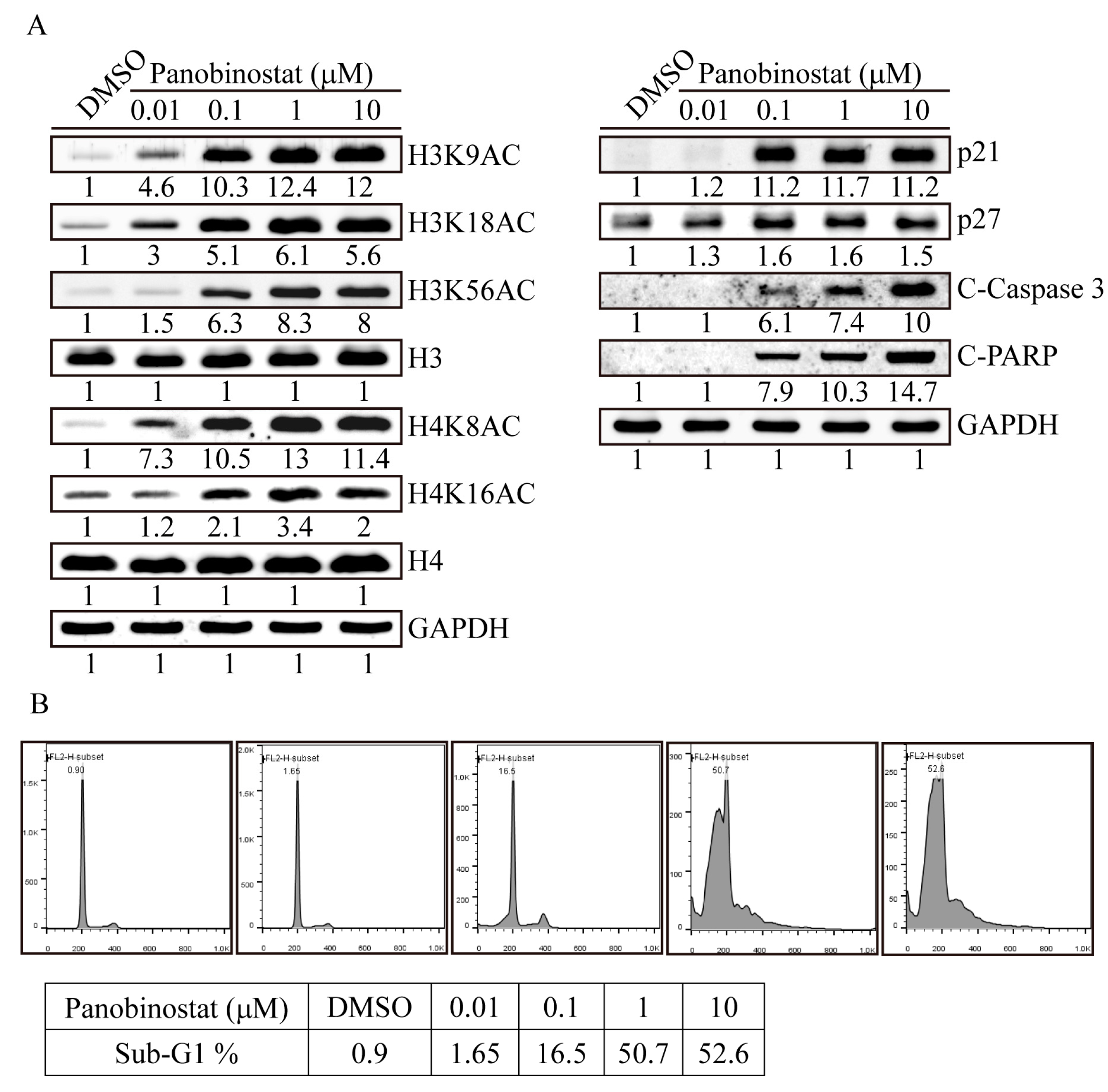 Ijms 20 00454 g003 Ijms 20 00454 g003