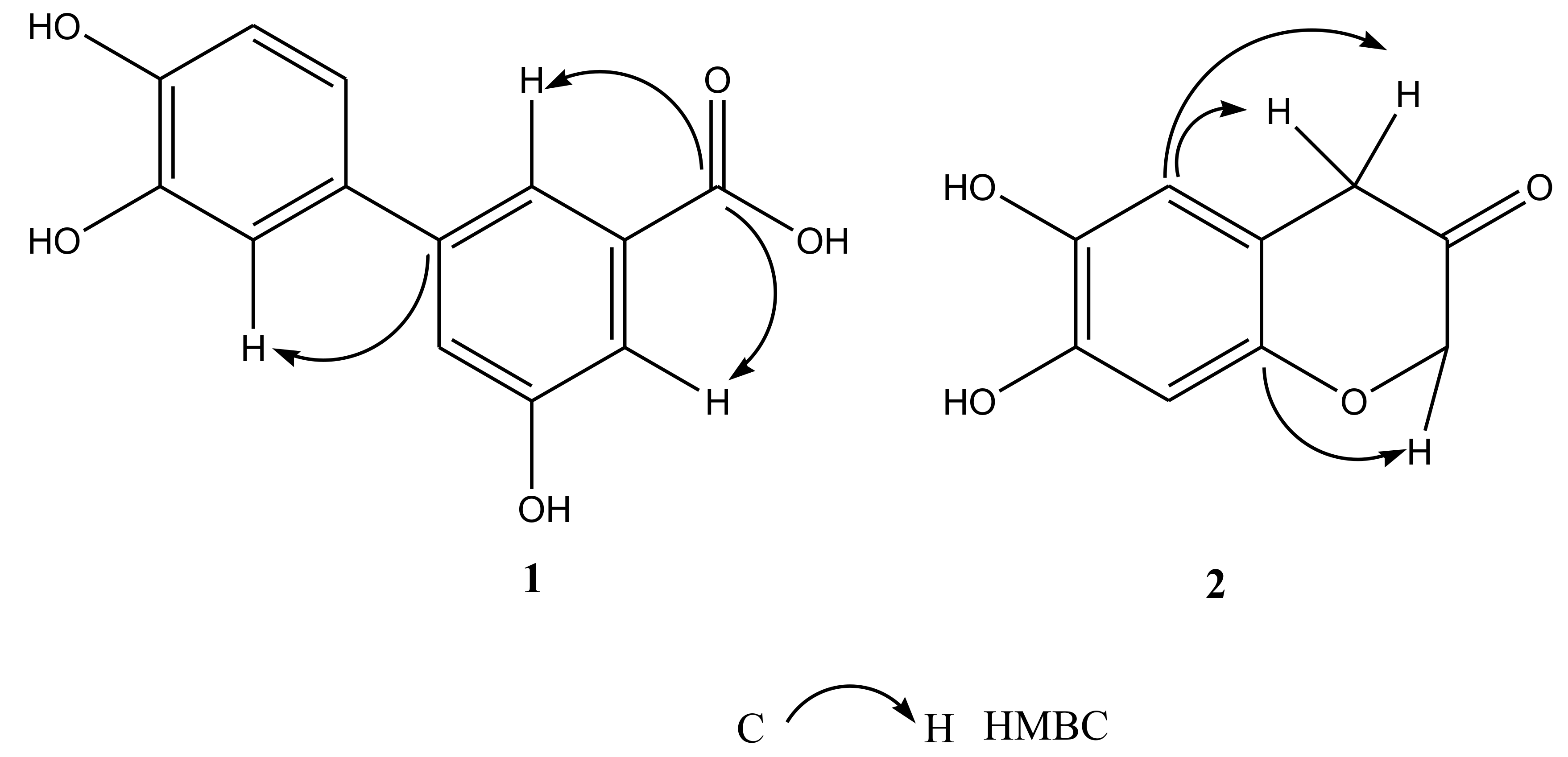 Ijms 20 00466 g002 Ijms 20 00466 g002