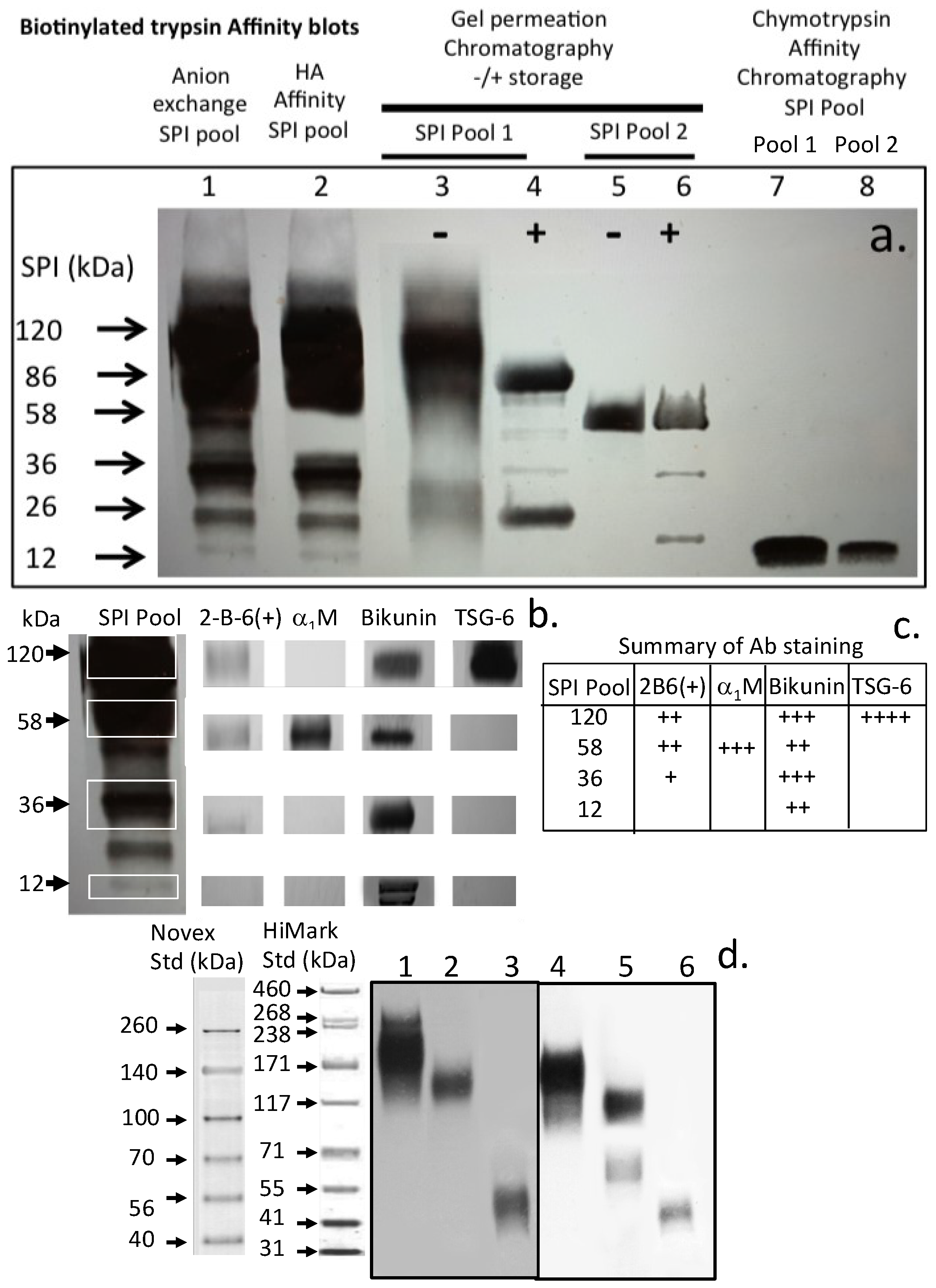 Ijms 20 00497 g006