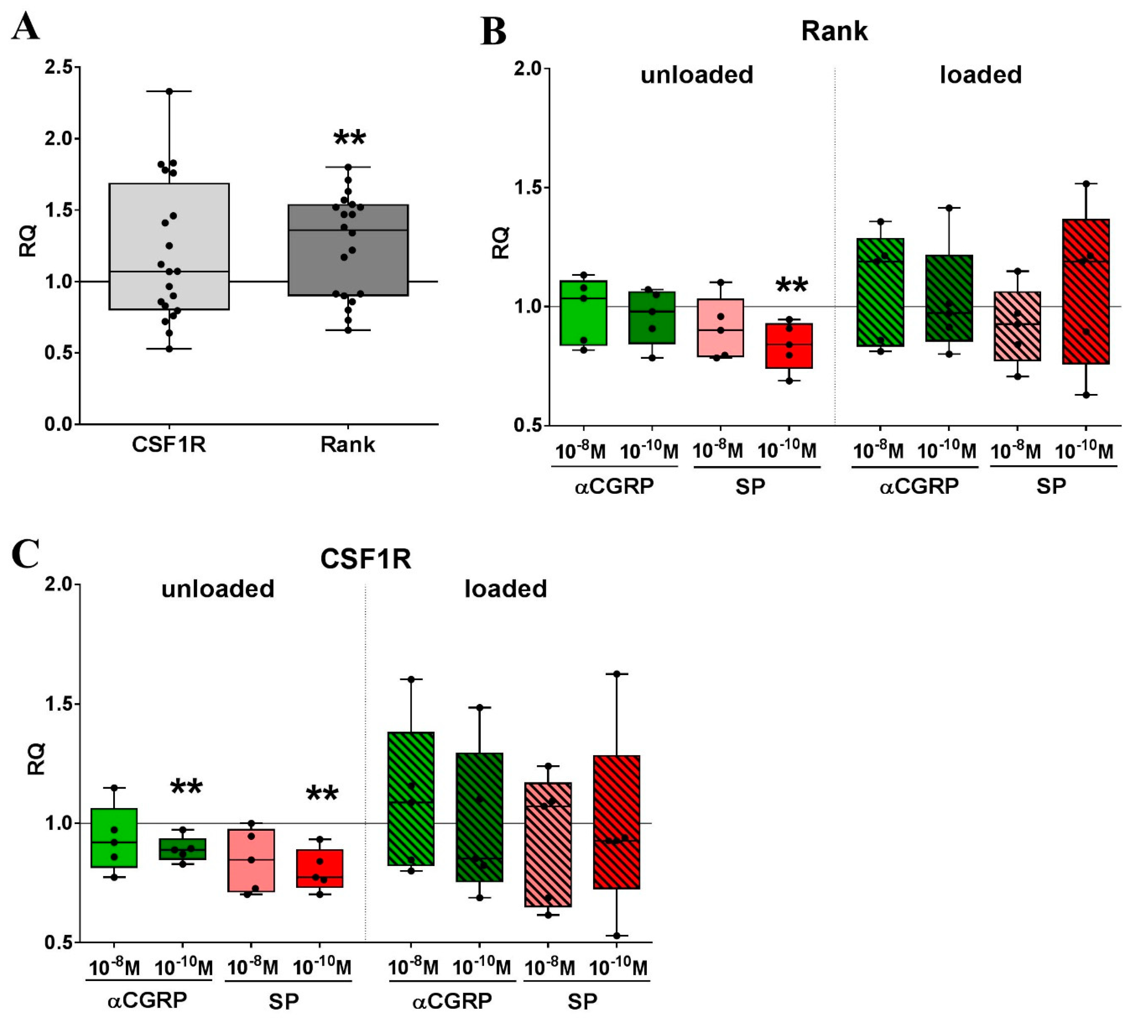 Ijms 20 00503 g006 Ijms 20 00503 g006